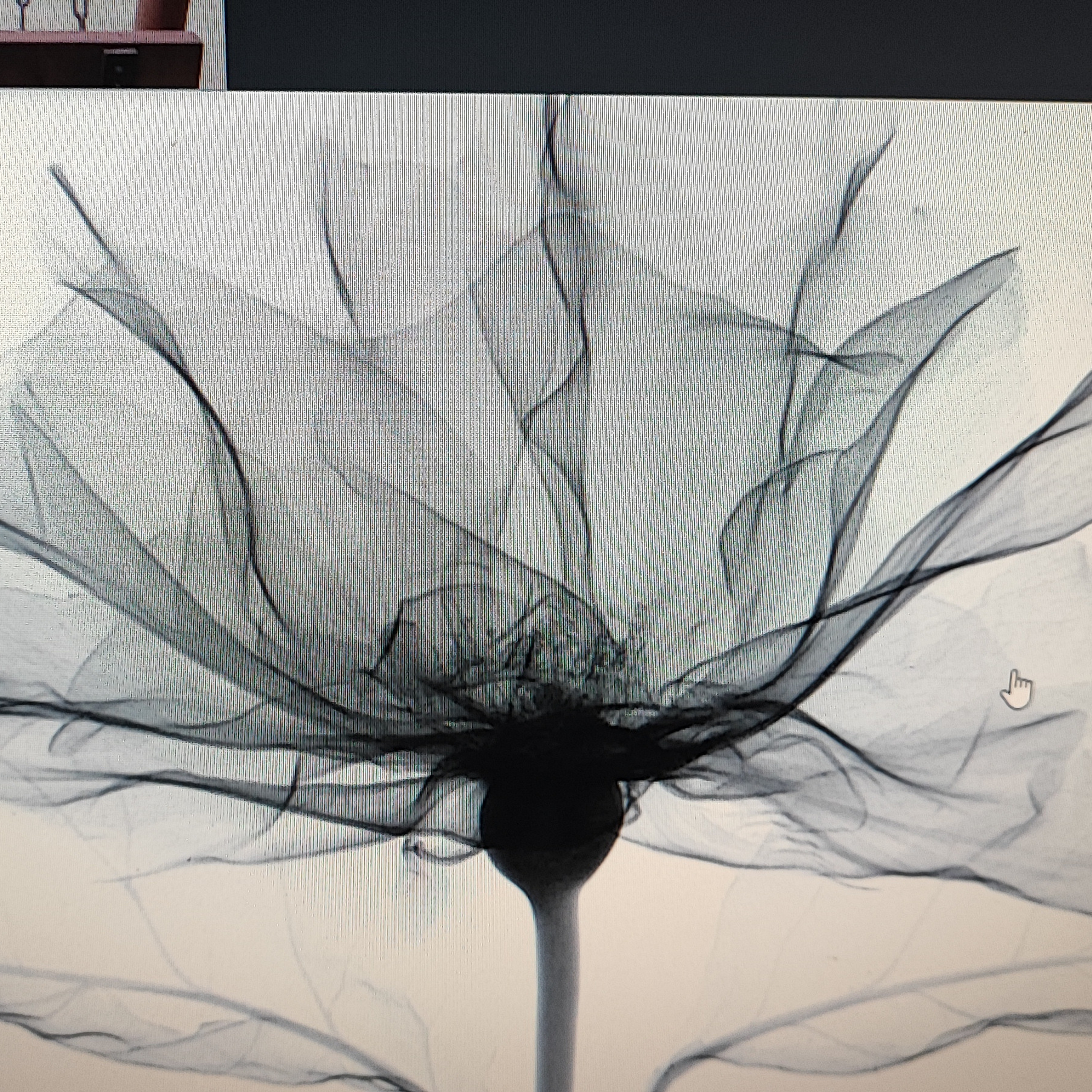 Отзывы. Производство хлеба и хлебобулочных изделий на Юге России