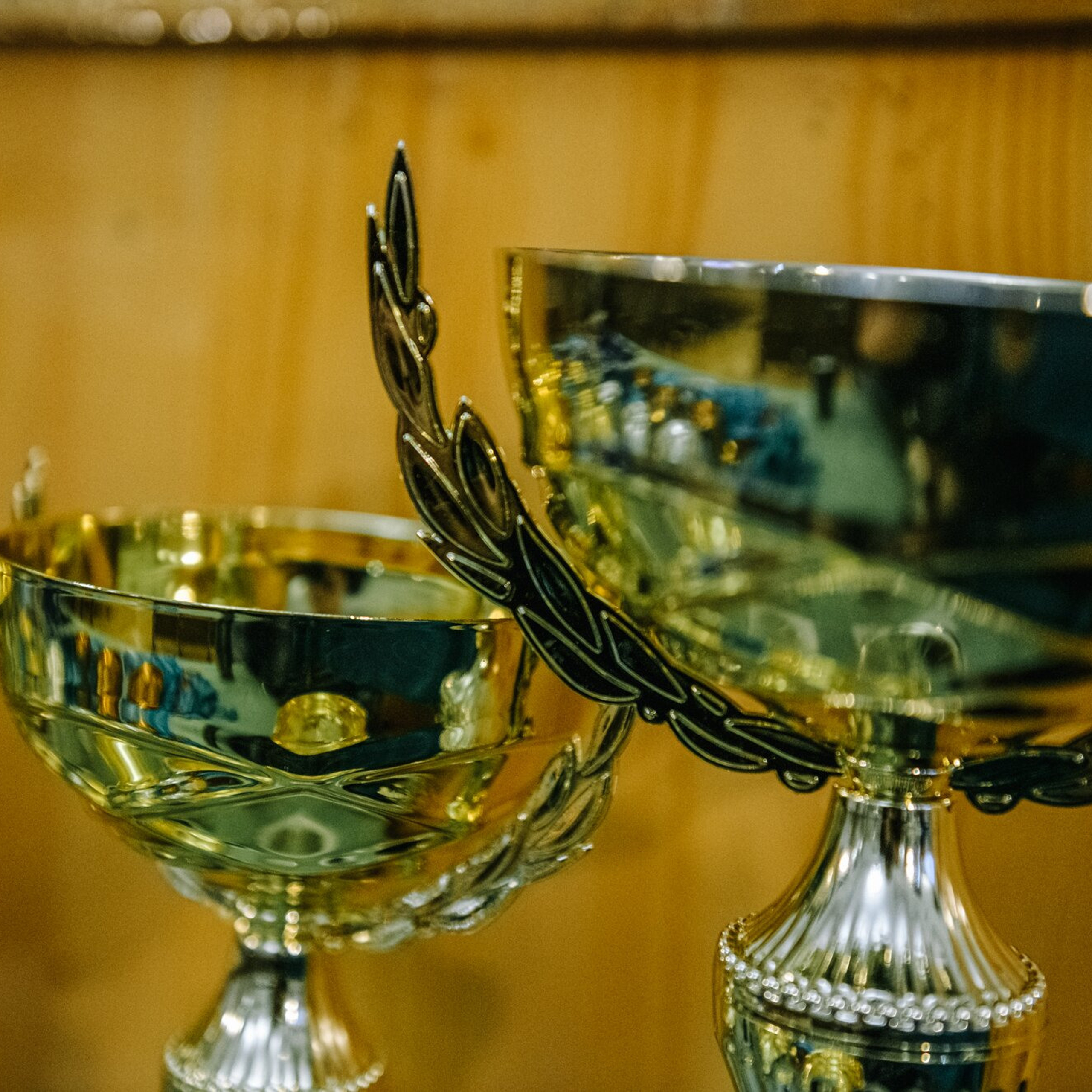 Backstage. Коваленко Светлана, фотограф в Москве. Концерты, события и люди