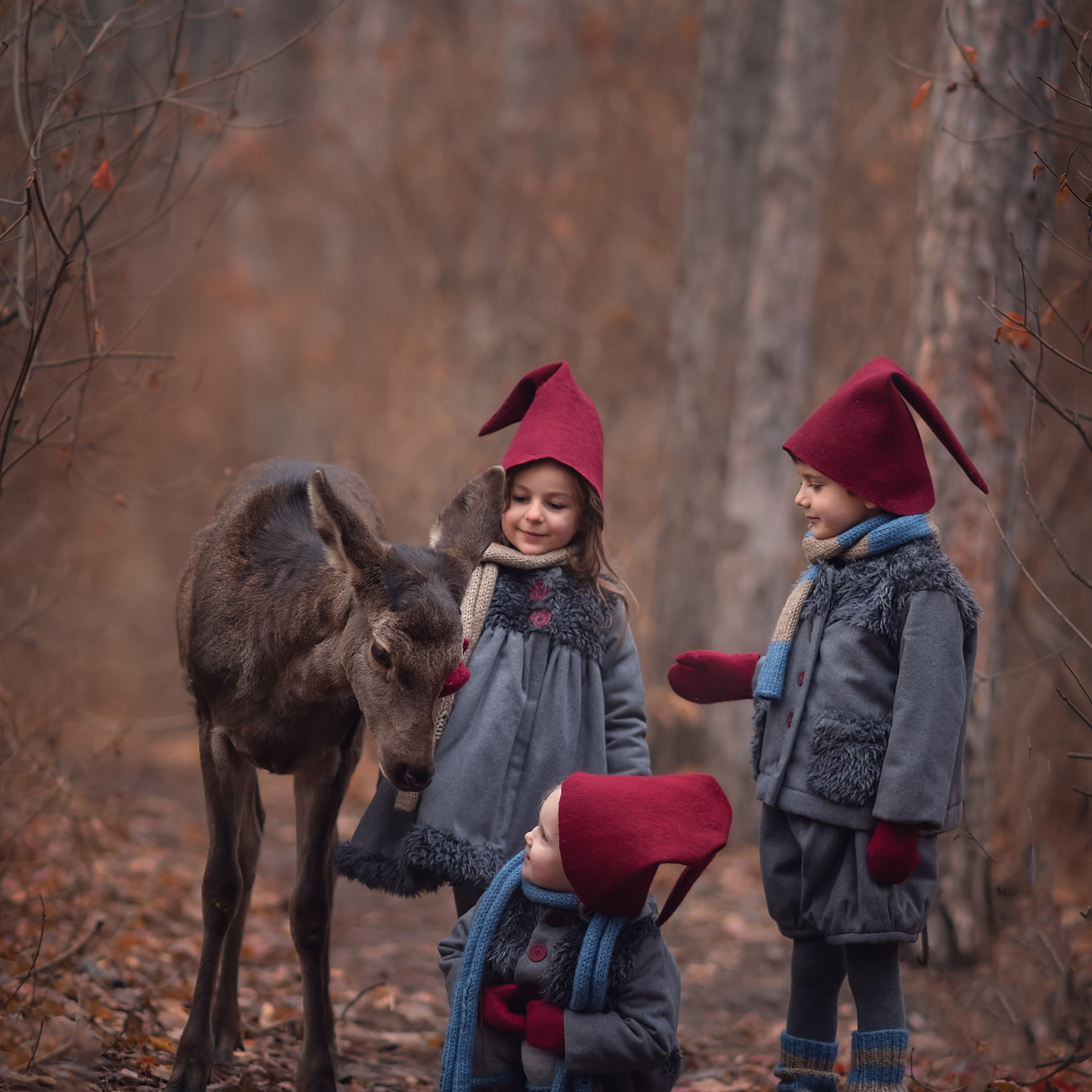 Зимние гномики