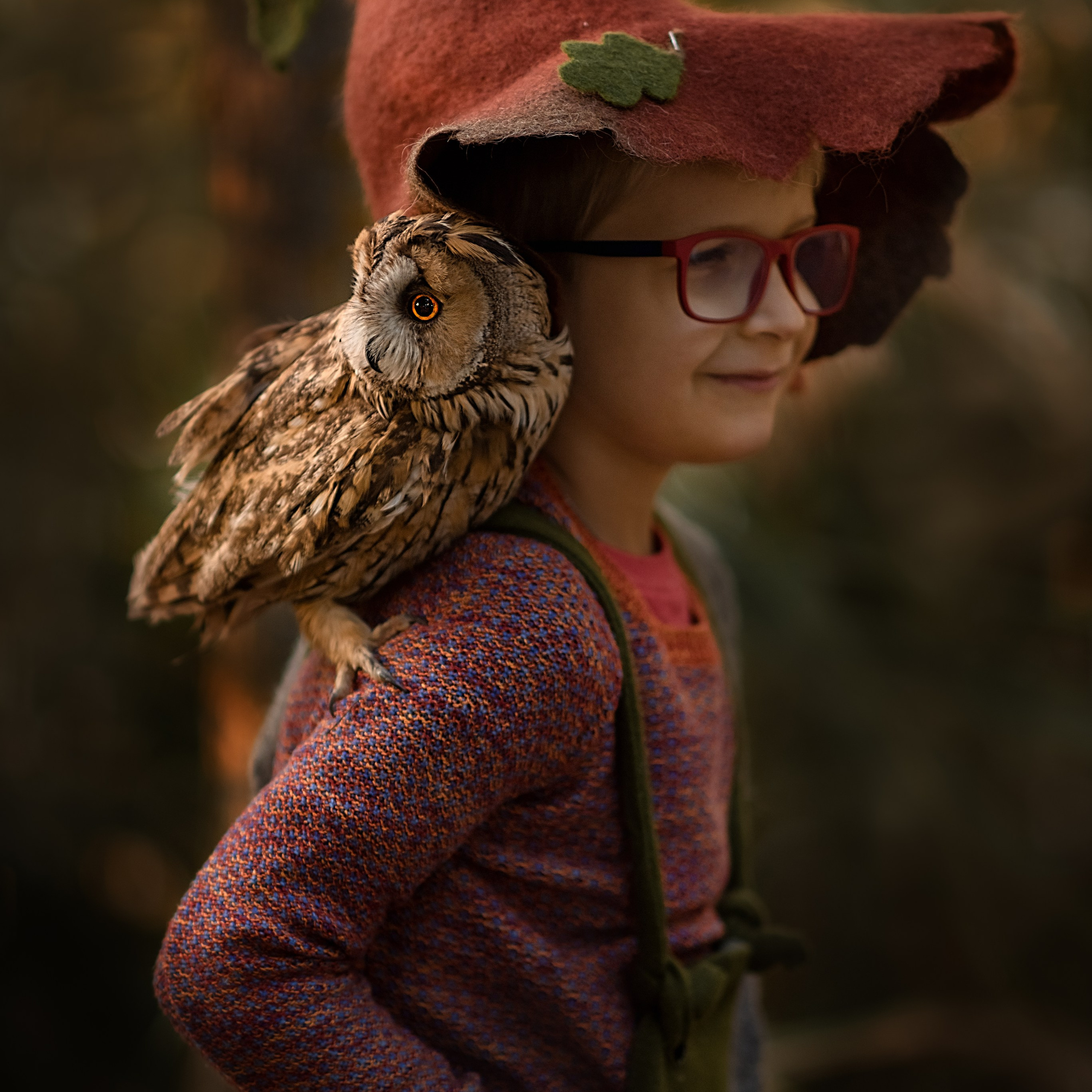 Осенние гномики