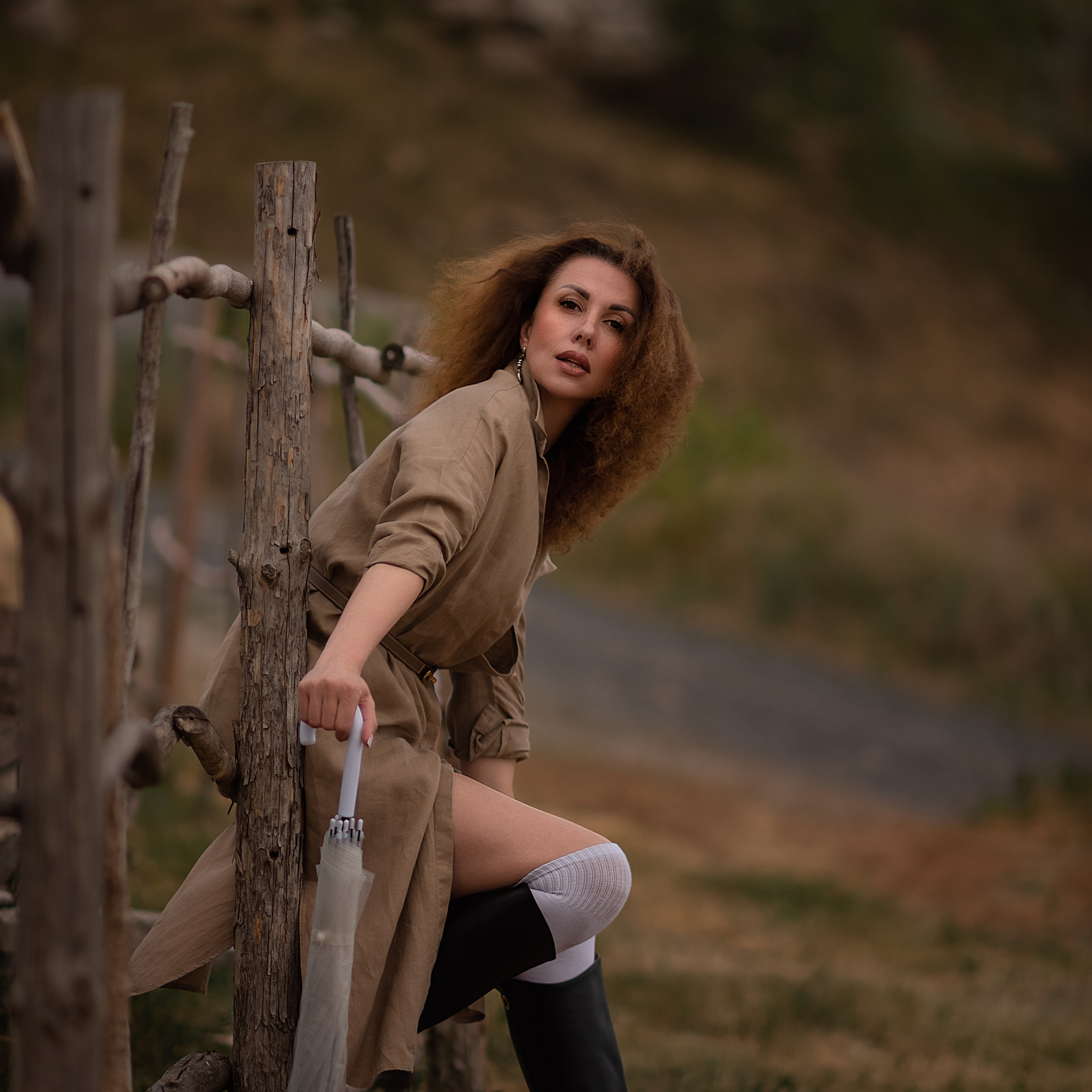 Ирландия в Мержаново