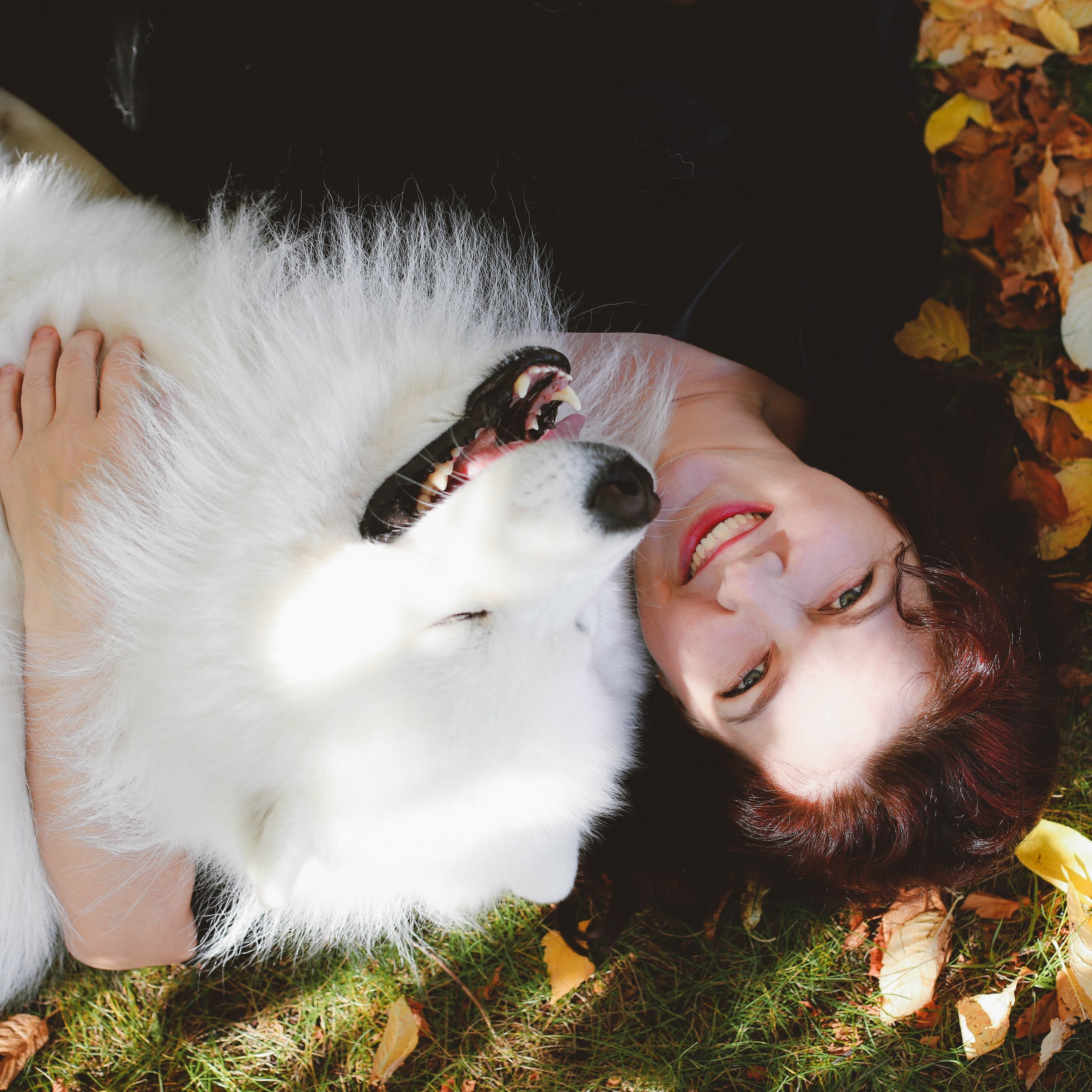 Девушка с собакой