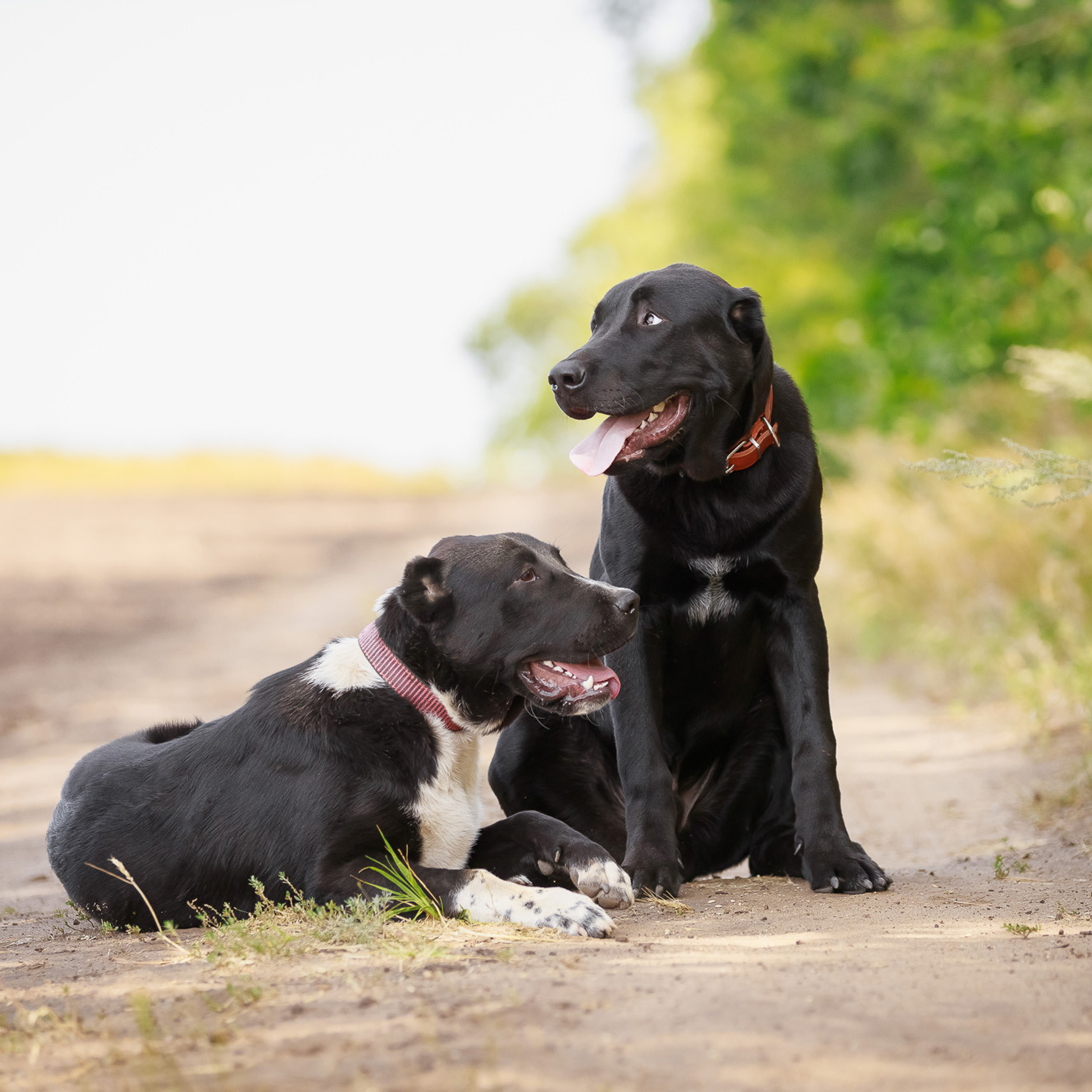 Отзывы. Фотограф в Саратове Ольга Мазлова