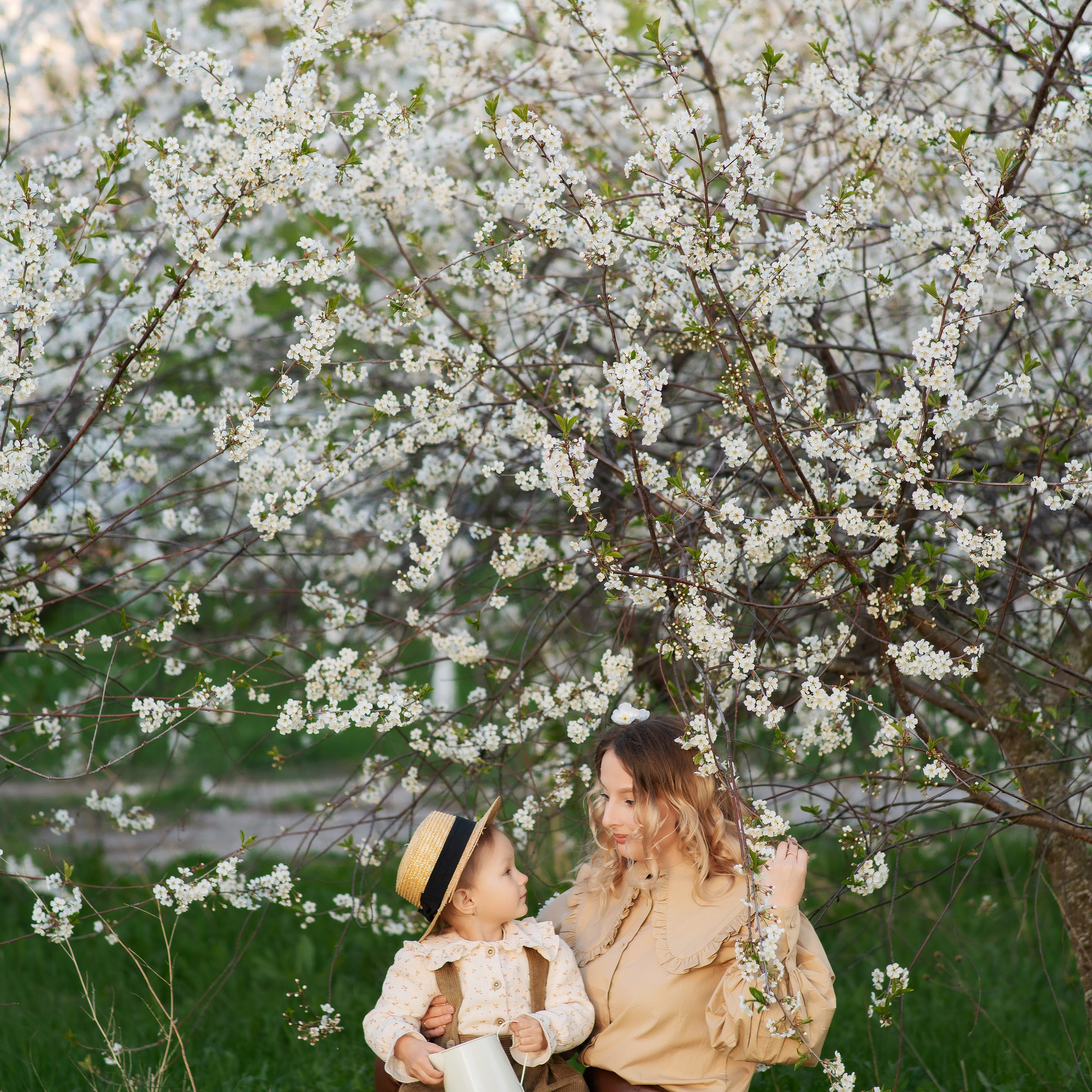 Цветущие сады