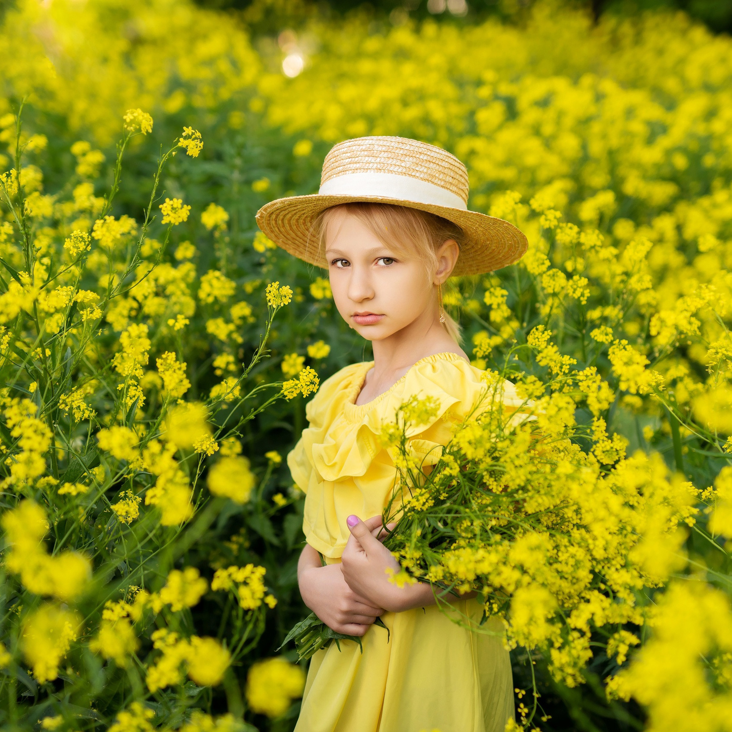 Цветущий рапс