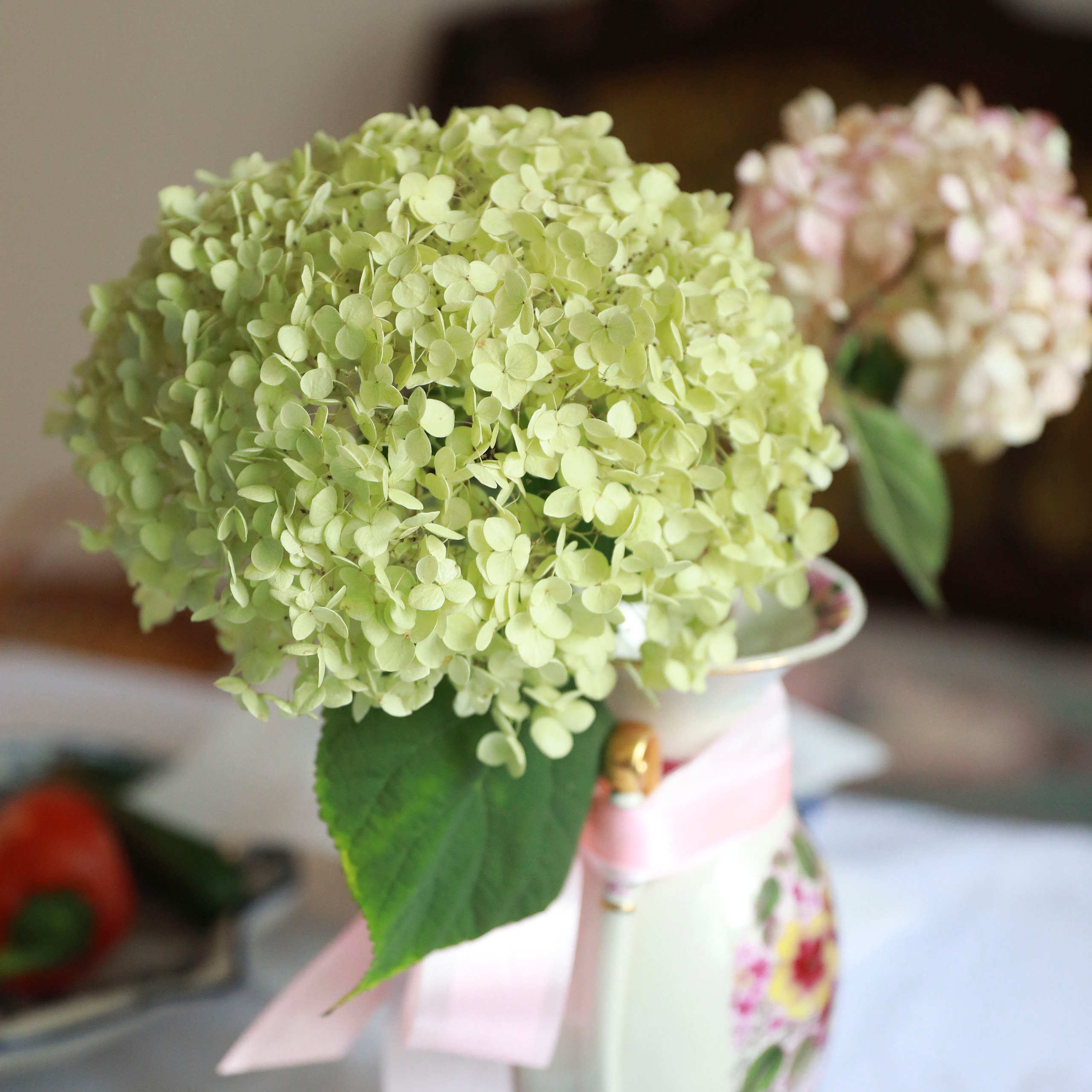 Отзывы. Фотограф в Москве Шаганова Нина