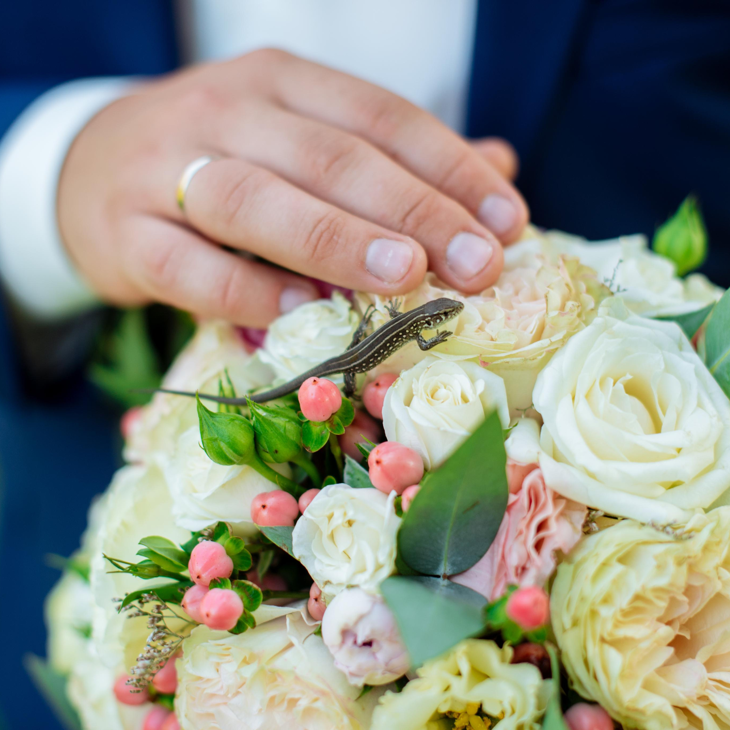 Виктор и Анастасия