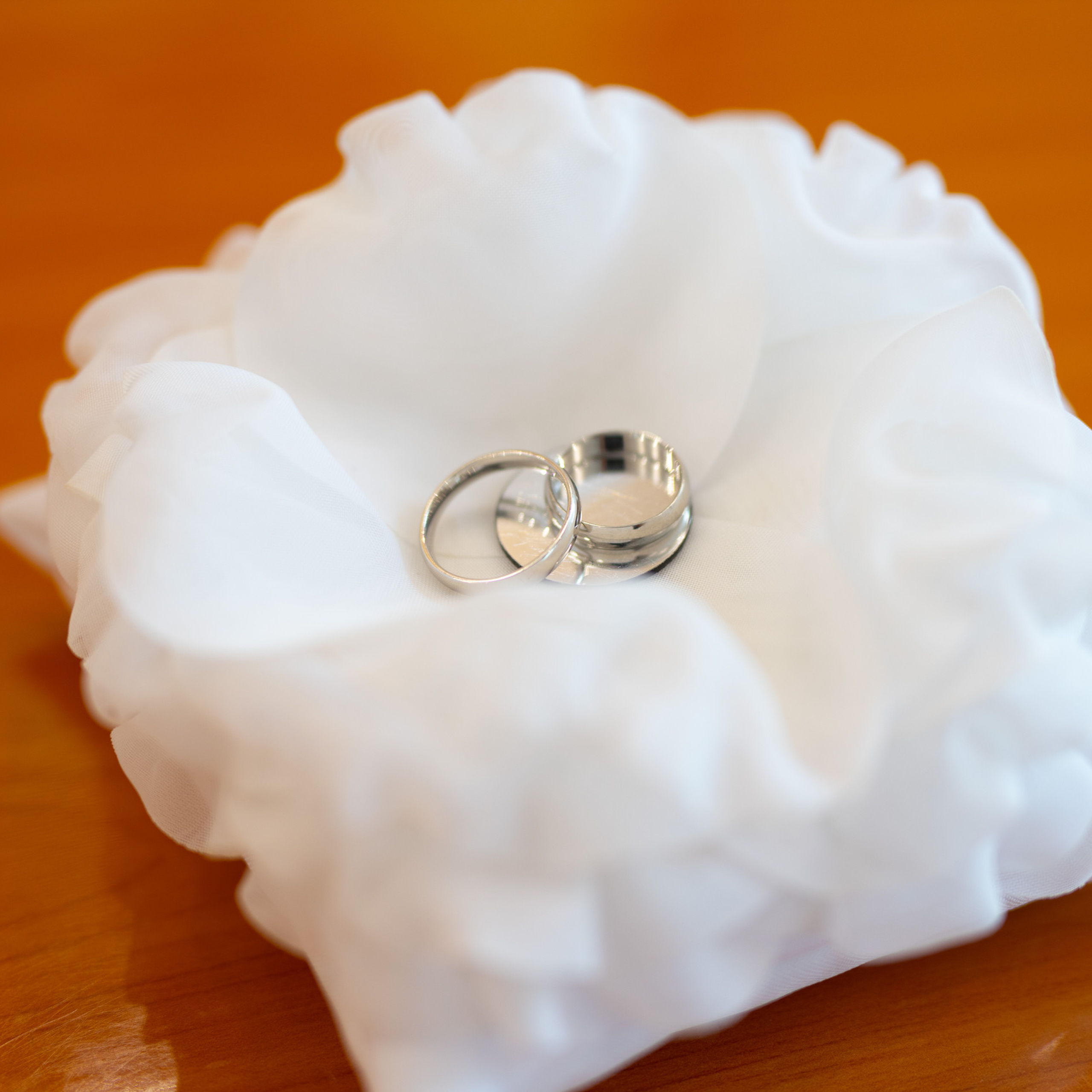 Отзывы. Фотограф Александр Литвинов