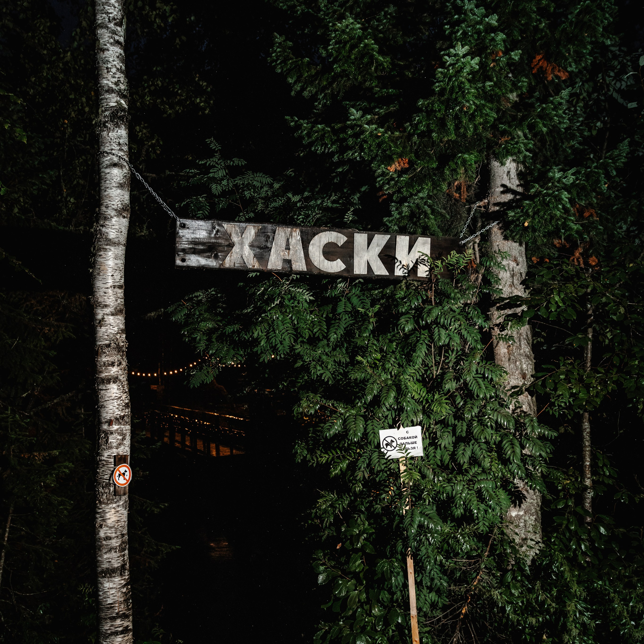 Дог-треккинг