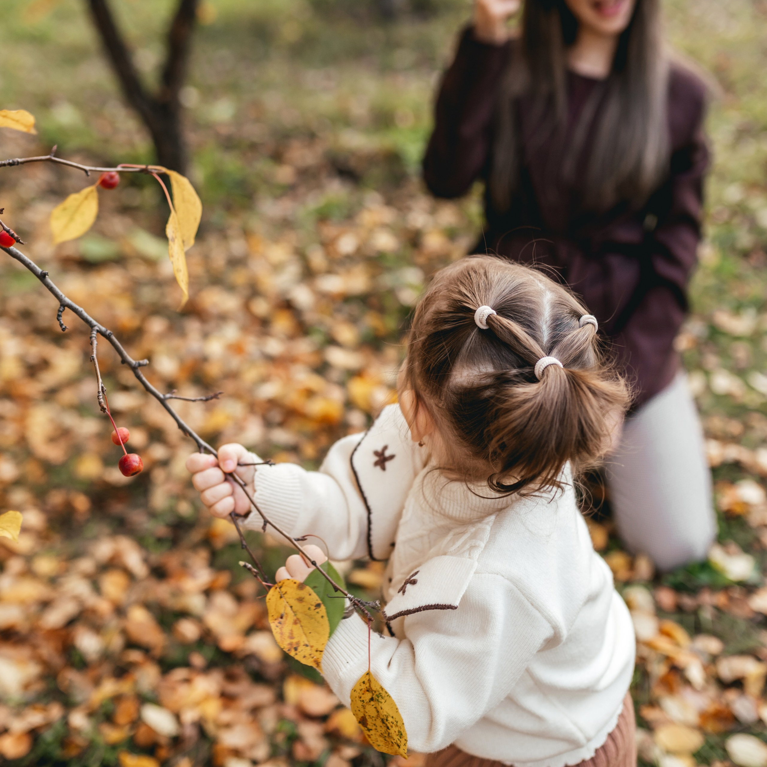 Теплая осень