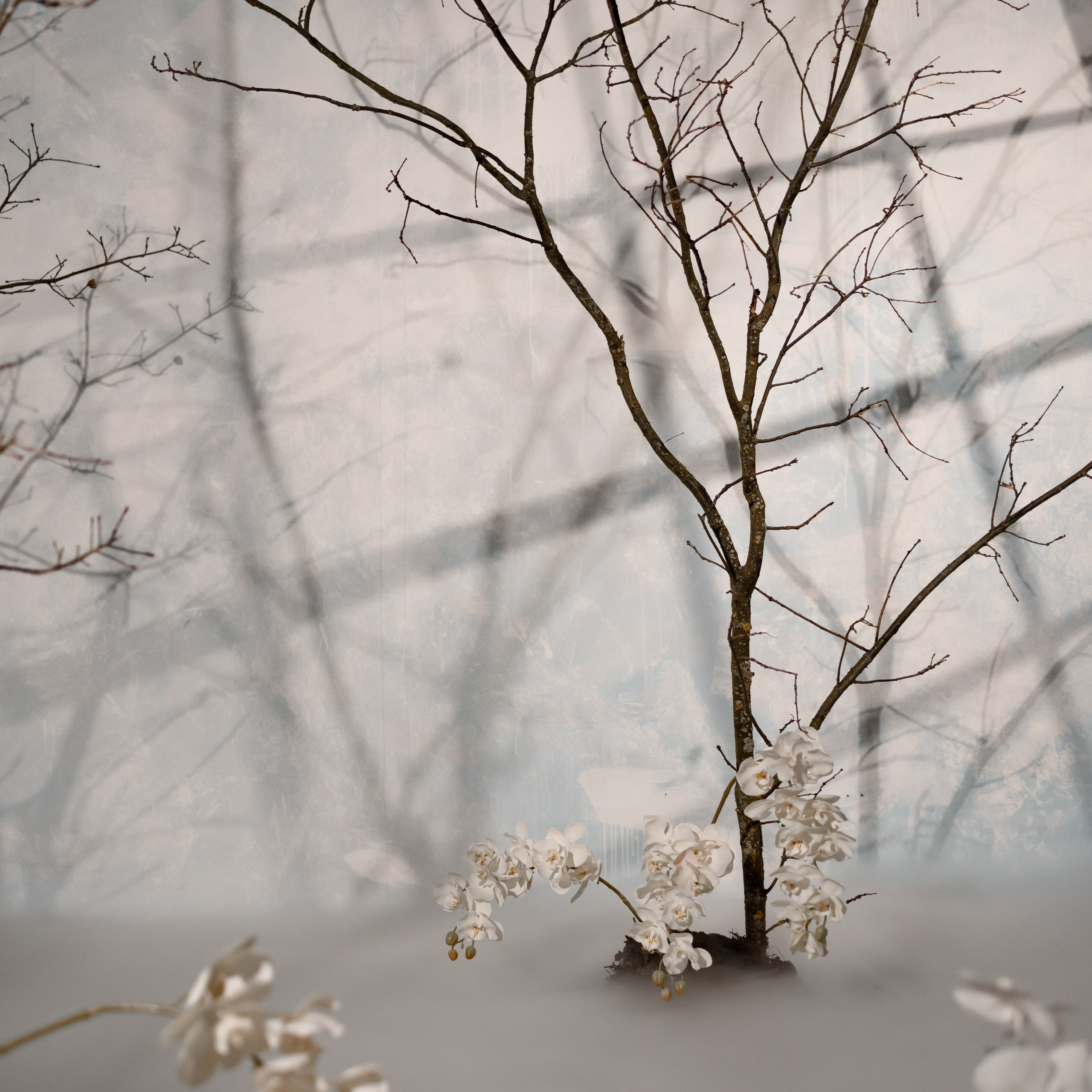 Отзывы. Свадебный и семейный фотограф Анастасия Снежная