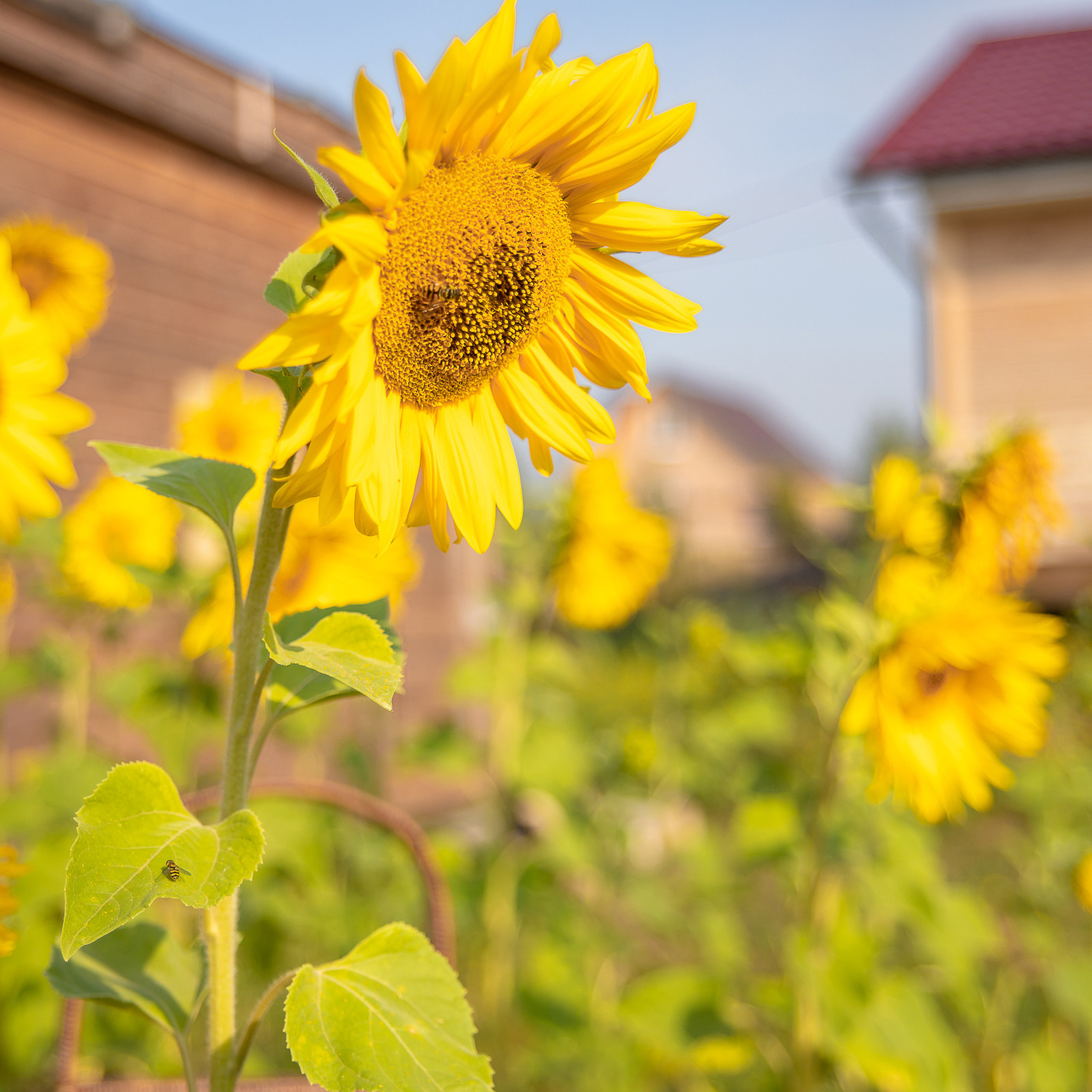 Отзывы. Фотограф Галина Трухина