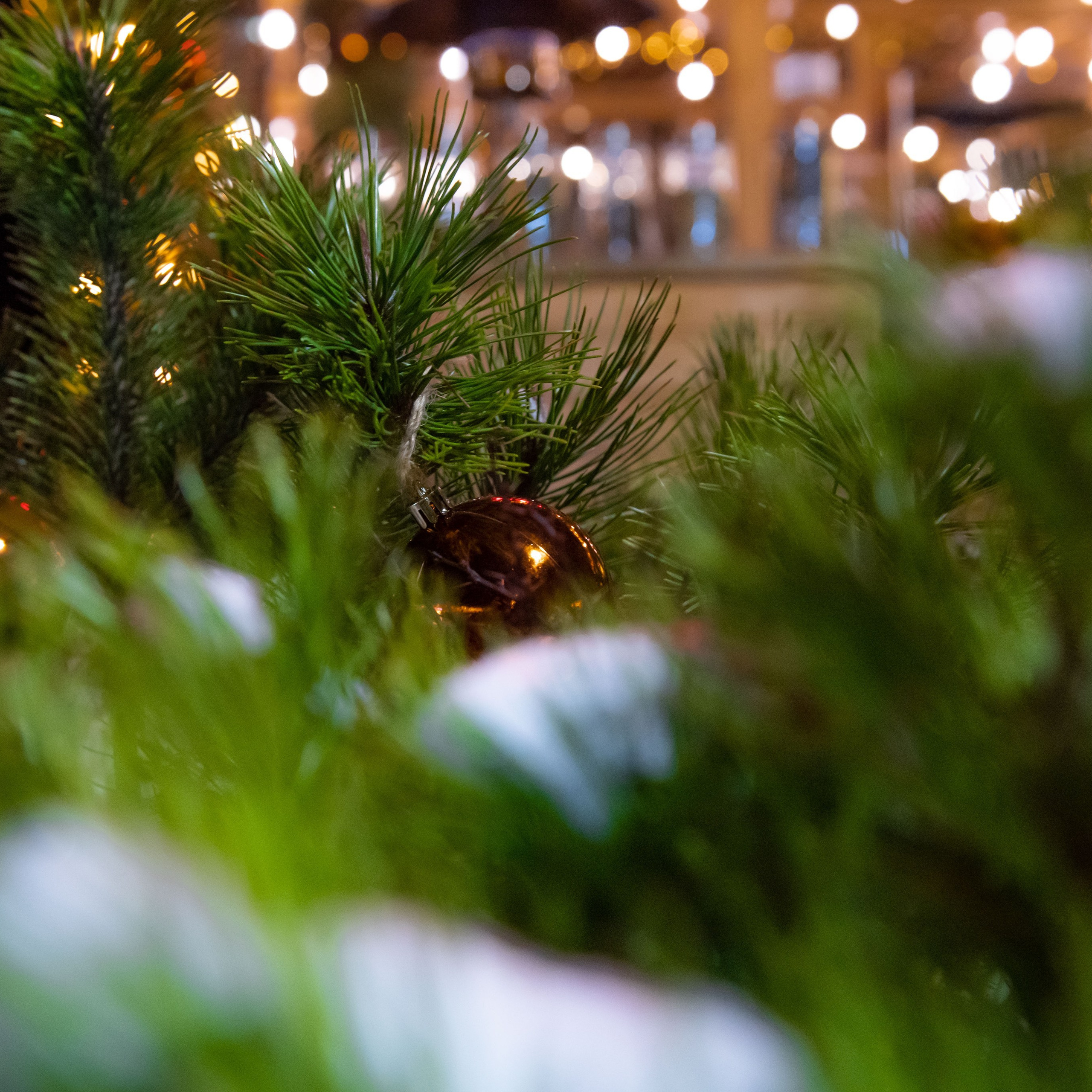 Отзывы. Фотограф в Калининграде Роман Большаков