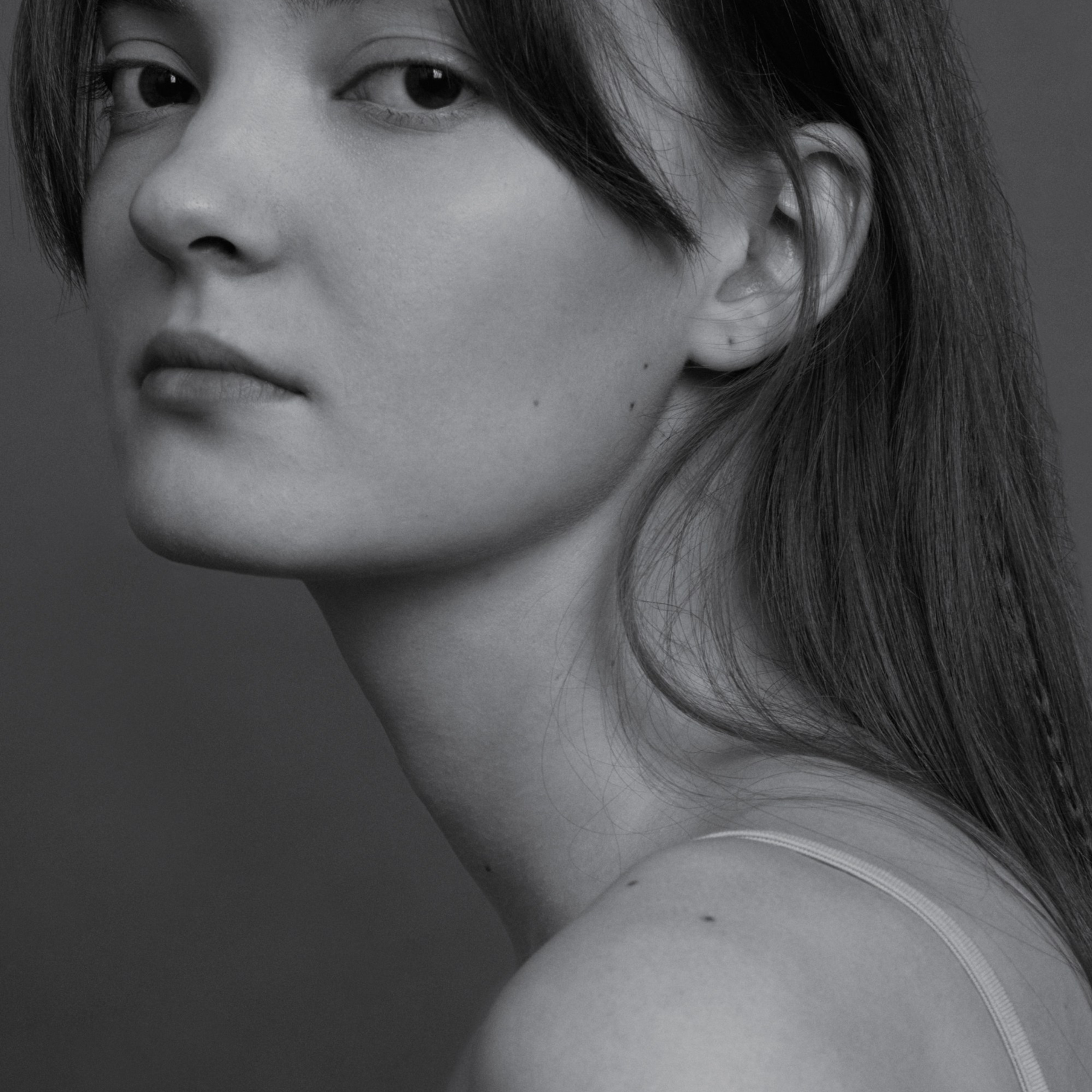 Vlada
