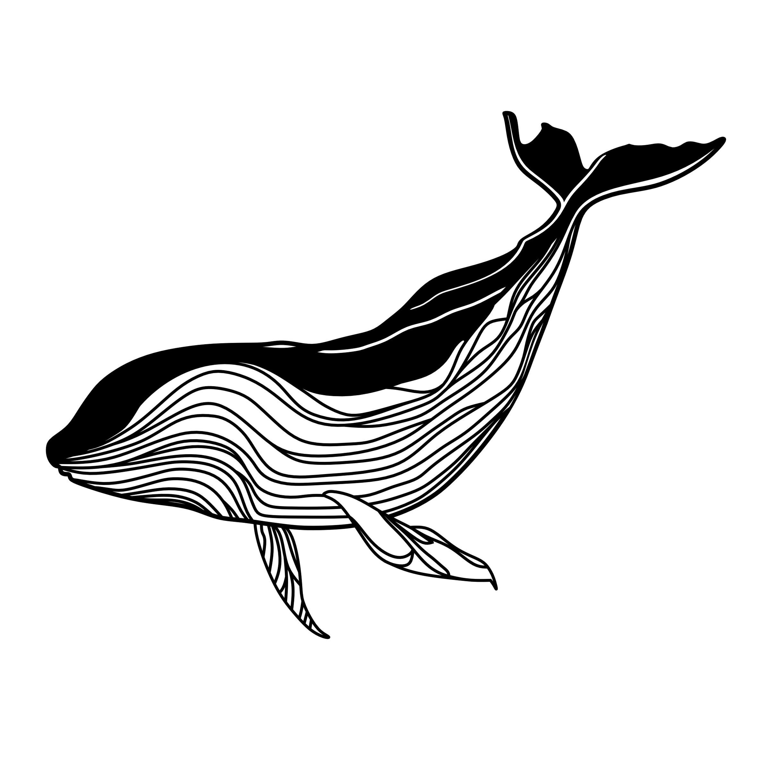 Арт-объект на стену Кит. Арт-объекты для стен. Авторские картины, панно, часы и портреты по фото