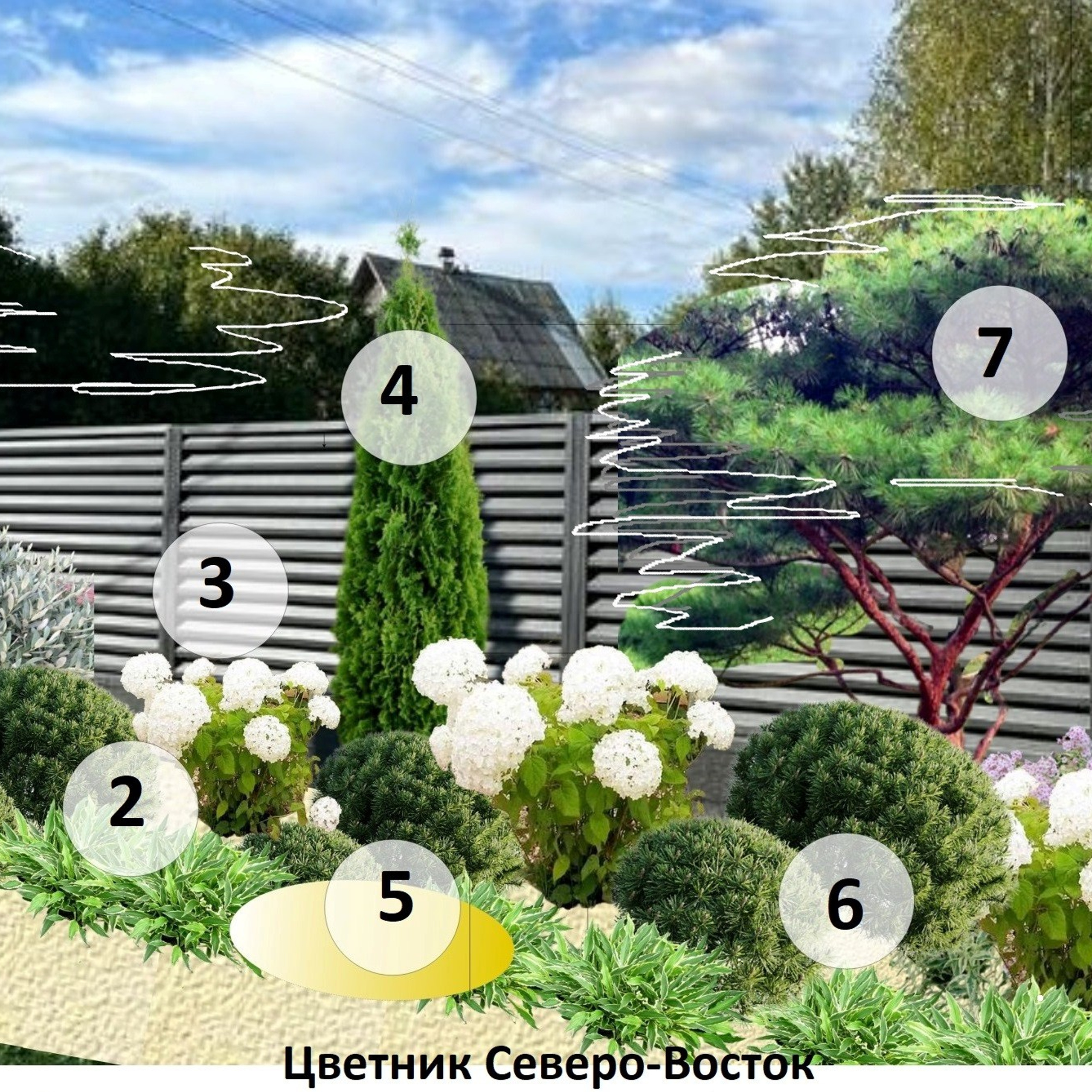 RUSNEWS/ДАЧНЫЙ КЛУБ. ТРЕНДЫ СЕЗОН 2025.ПИТОМНИКИ. 俄罗斯设计估算