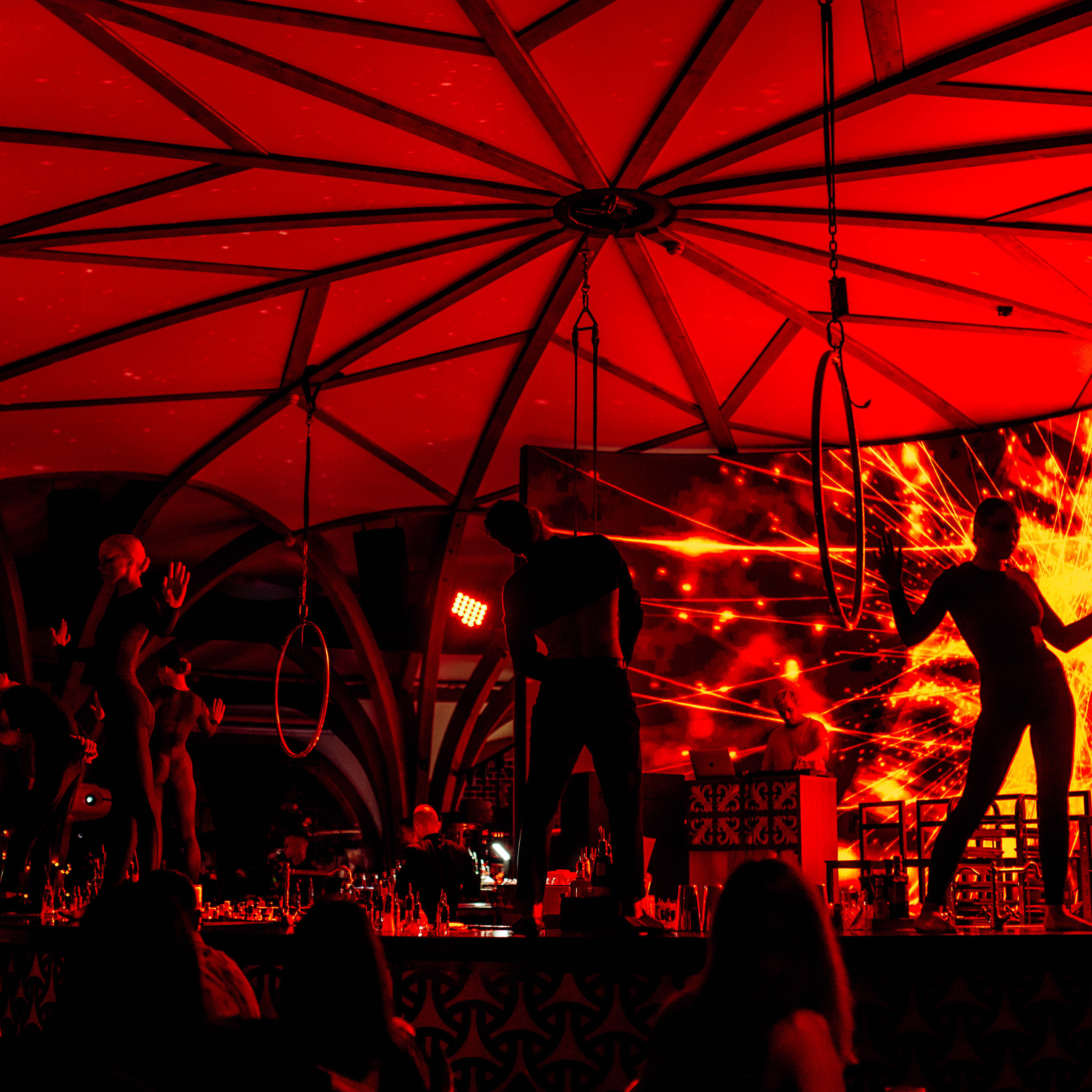 Птица. Ялта