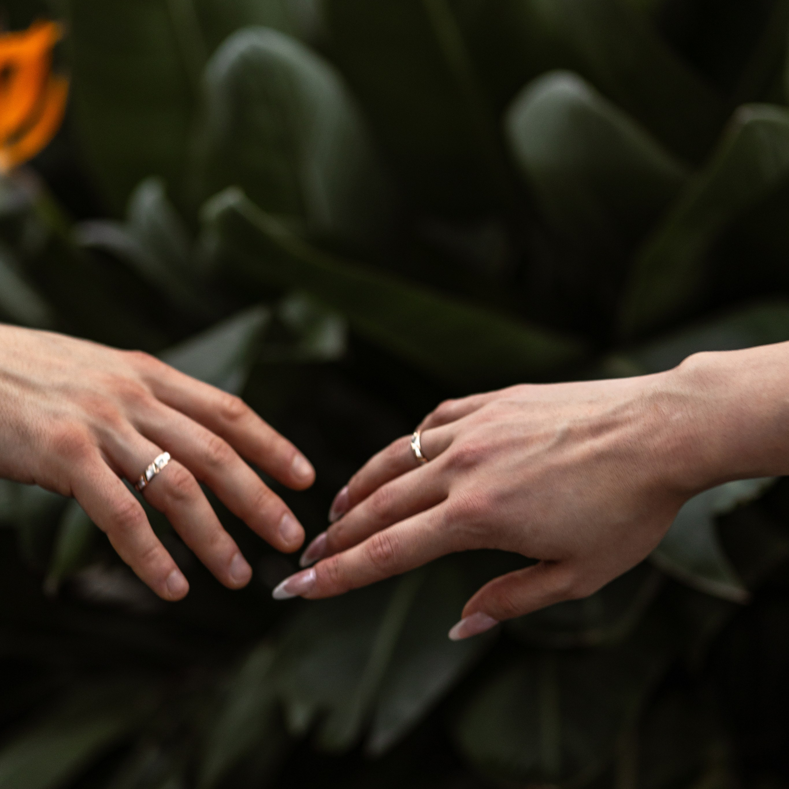 ОТЗЫВЫ. Свадебный фотограф в СПБ | Санкт-Петербурге Анастасия Рахимгулова