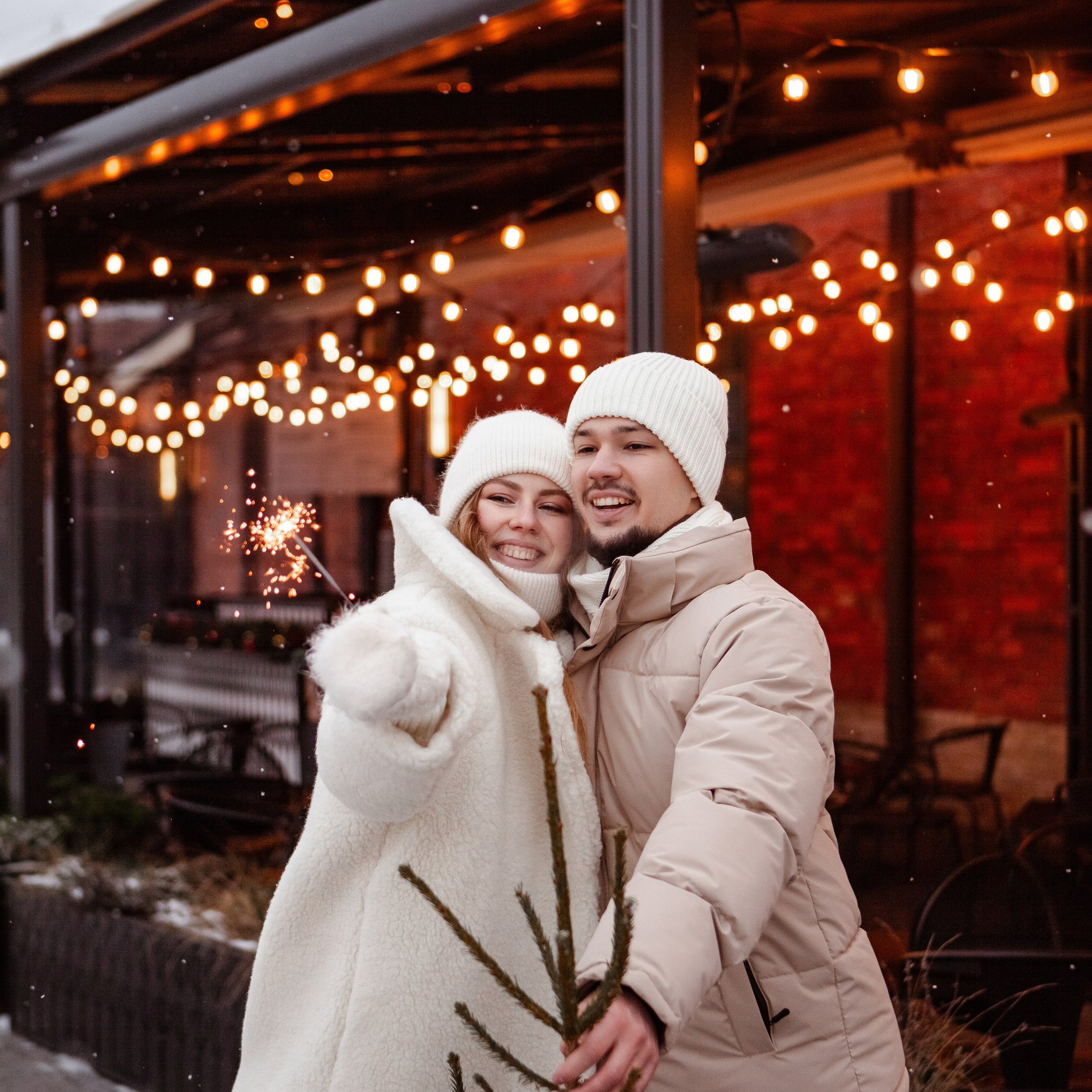 Новая Голландия