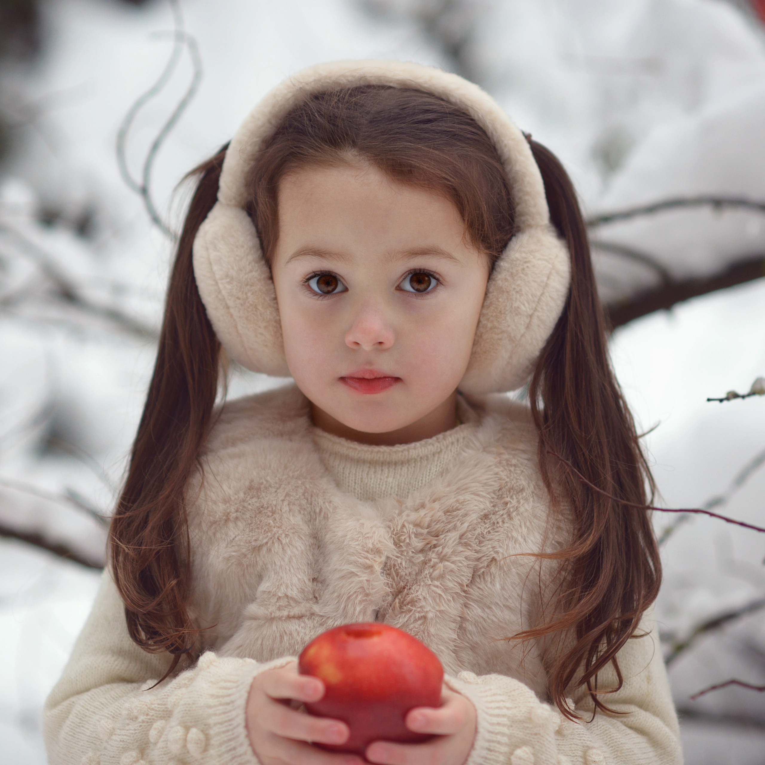 Яблоки на снегу