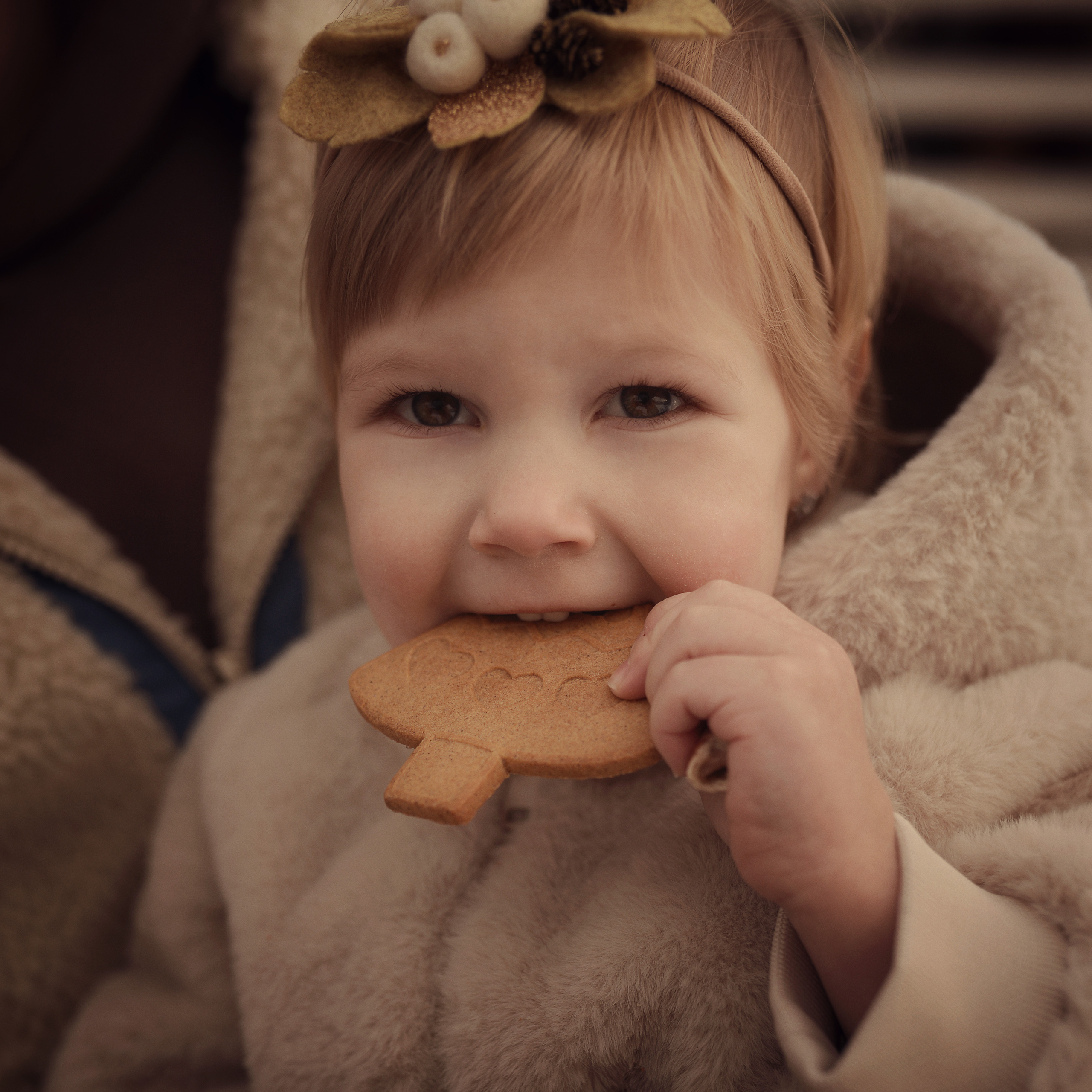 Новый год на Даче