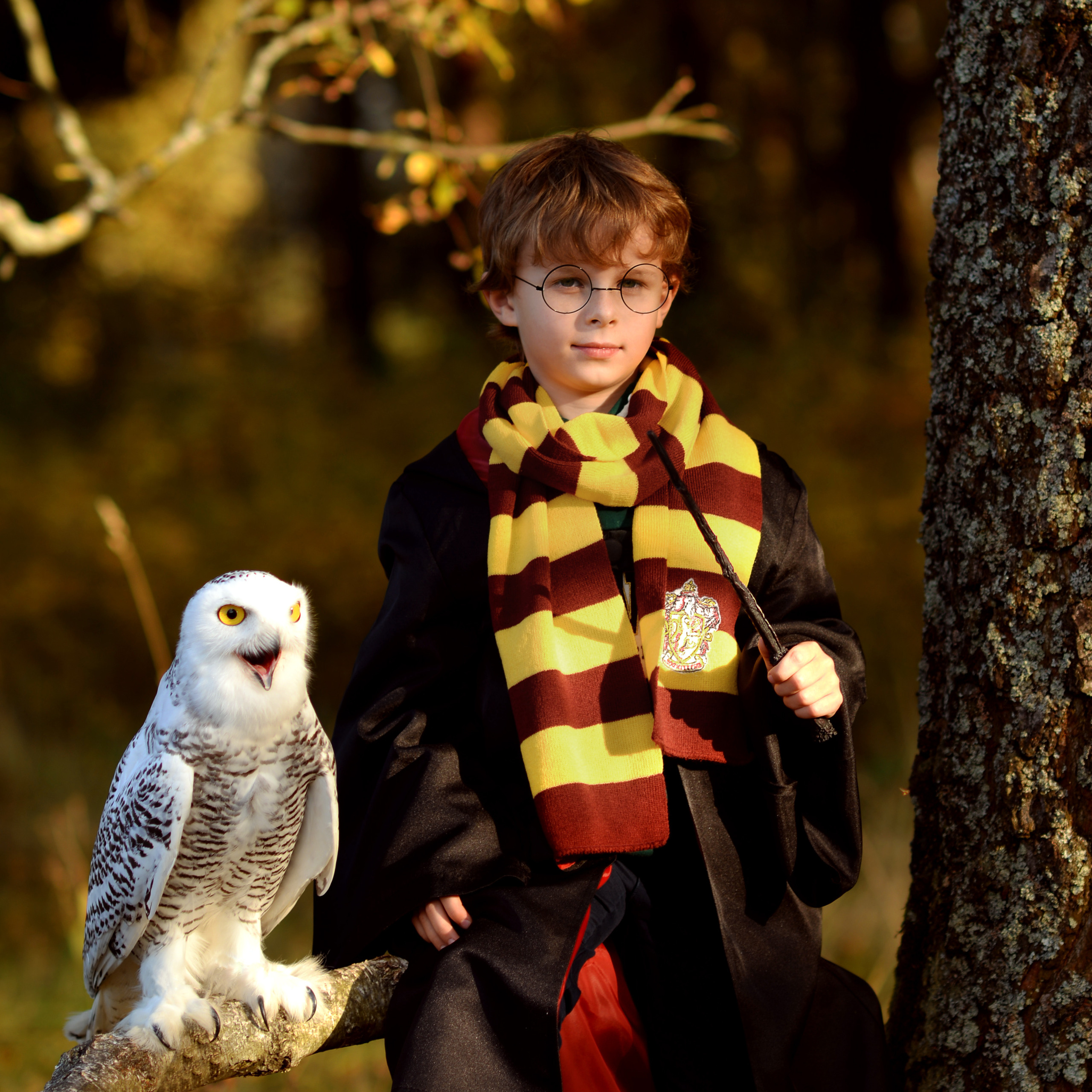 Гарри Поттер