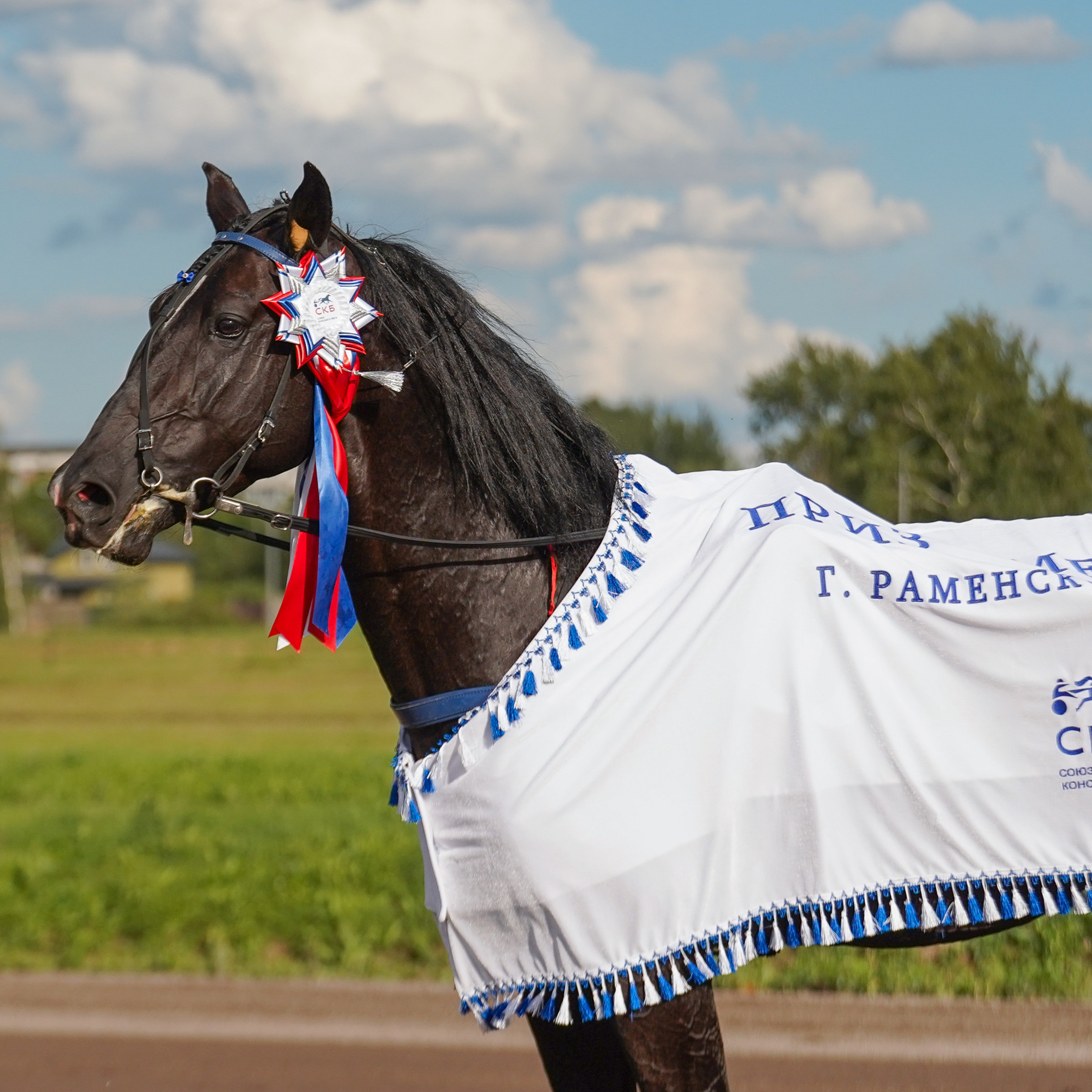 Праздник Орловского коннозаводства на Раменском ипподроме 22 июля 2023.