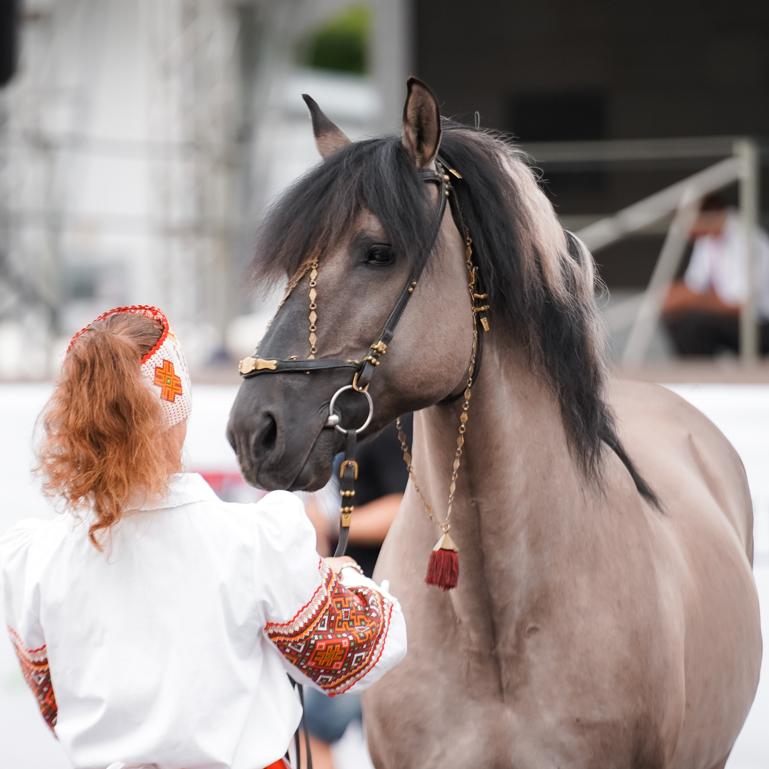 Фестиваль национальных пород лошадей в Парке Сокольники