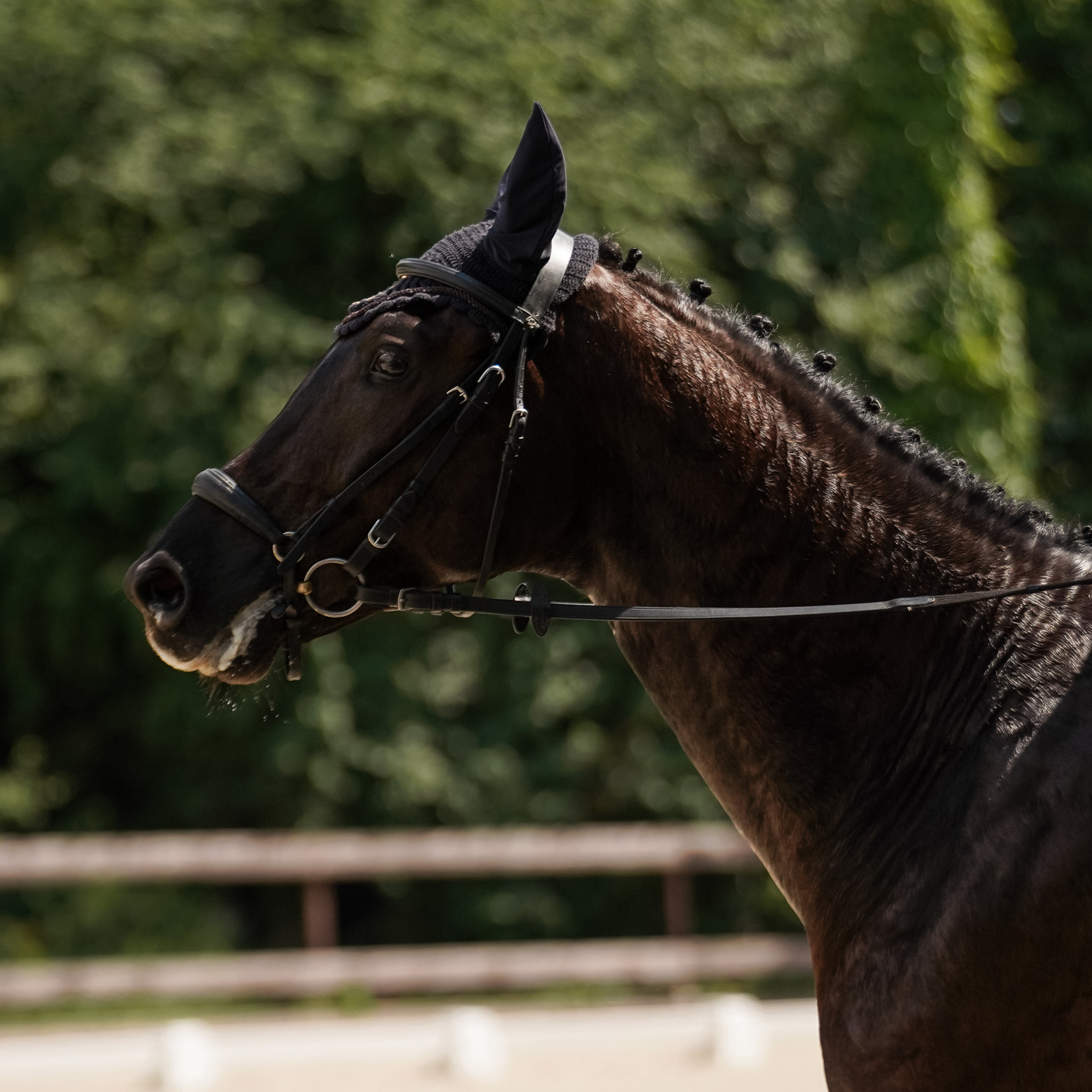 Отзывы. Фотограф-анималист, портретный фотограф в Чебоксарах Мария Садыкова