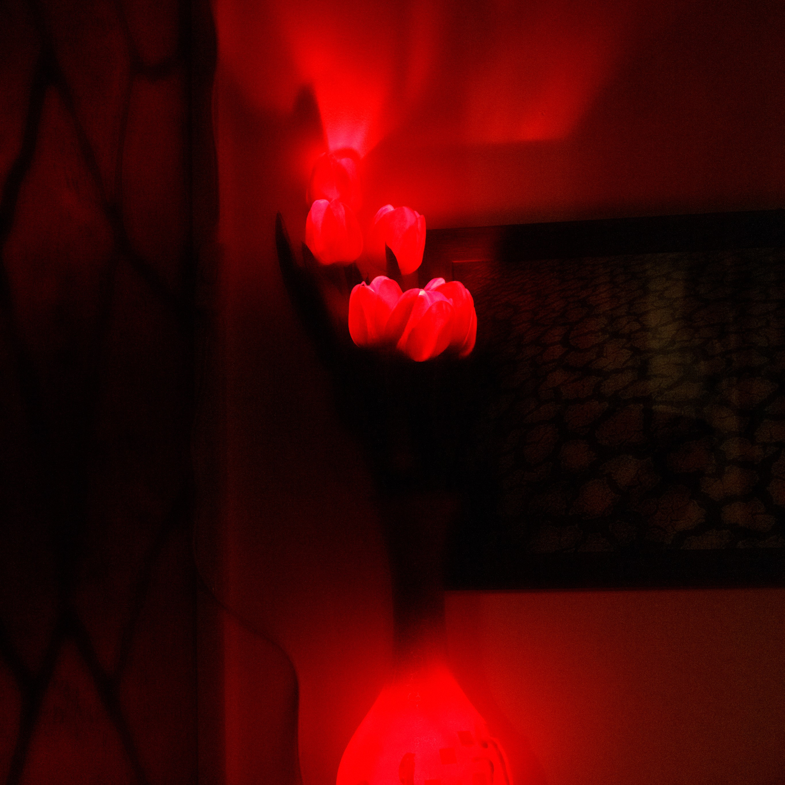 Отзывы. Репортажный фотограф Кузнецова Кристина