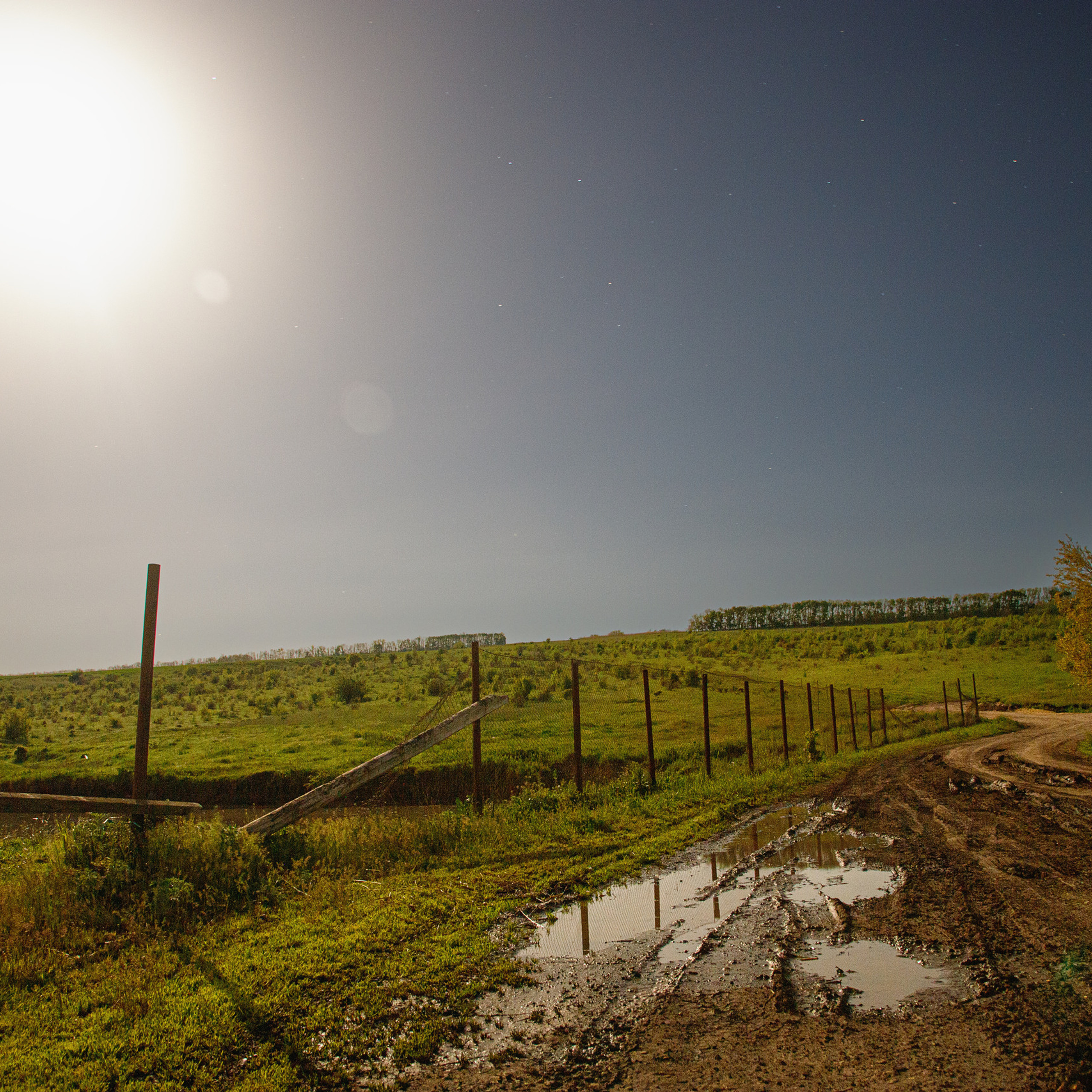 Отзывы. Репортажный фотограф Кузнецова Кристина