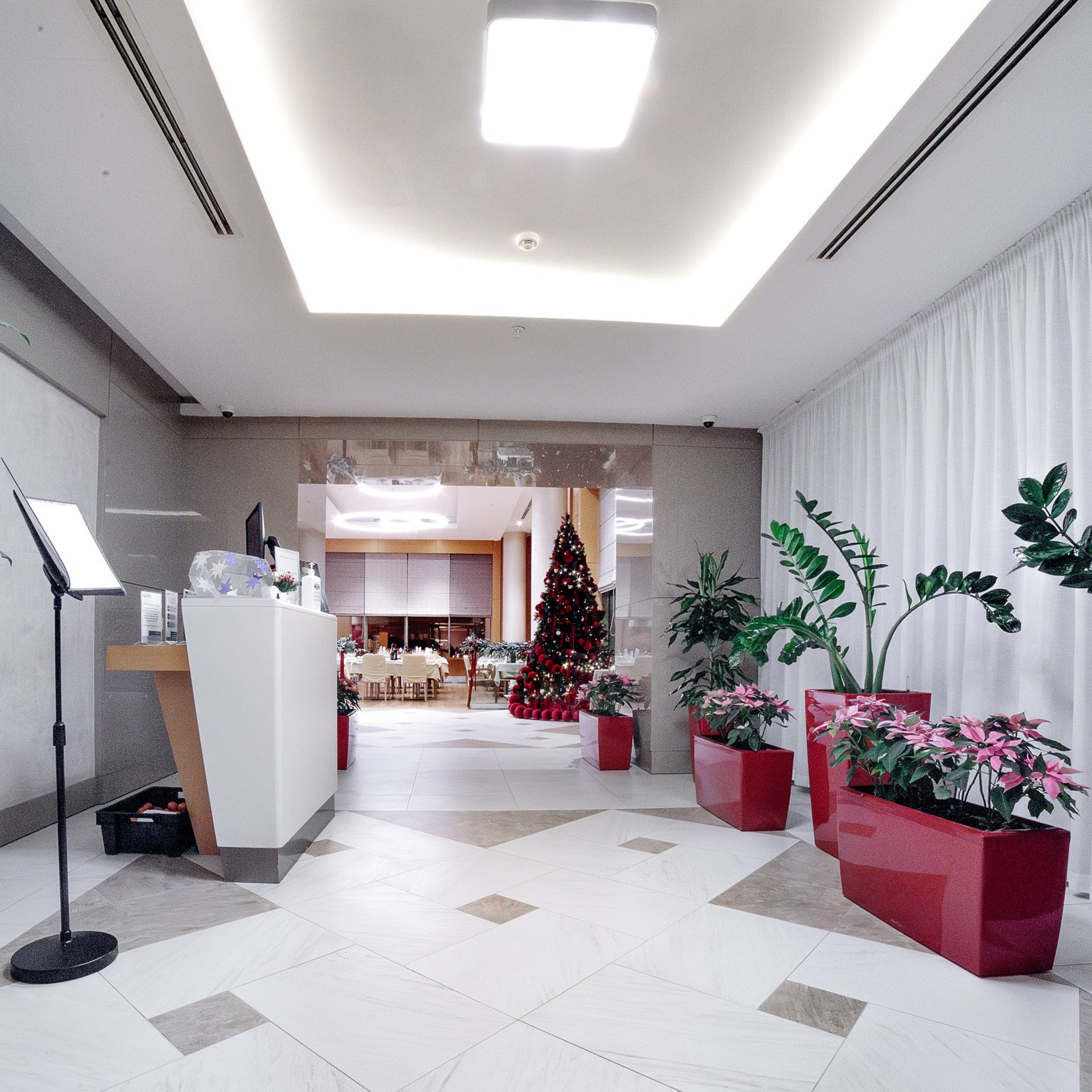 Отзывы. Репортажный фотограф Кузнецова Кристина