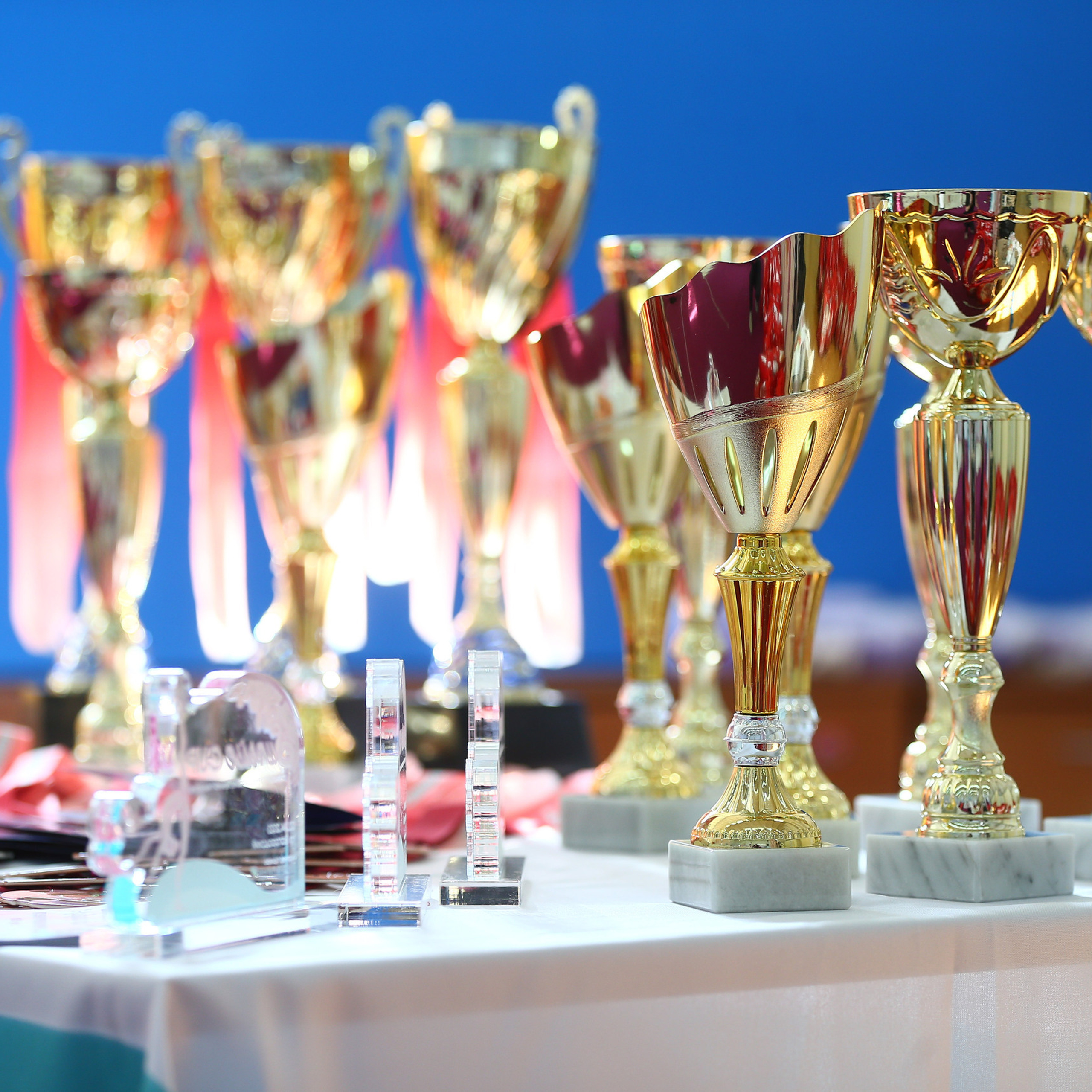 Отзывы о работе спортивного фотографа Евгения Семенова. Фотограф художественная гимнастика, фигурное катание, Москва и область