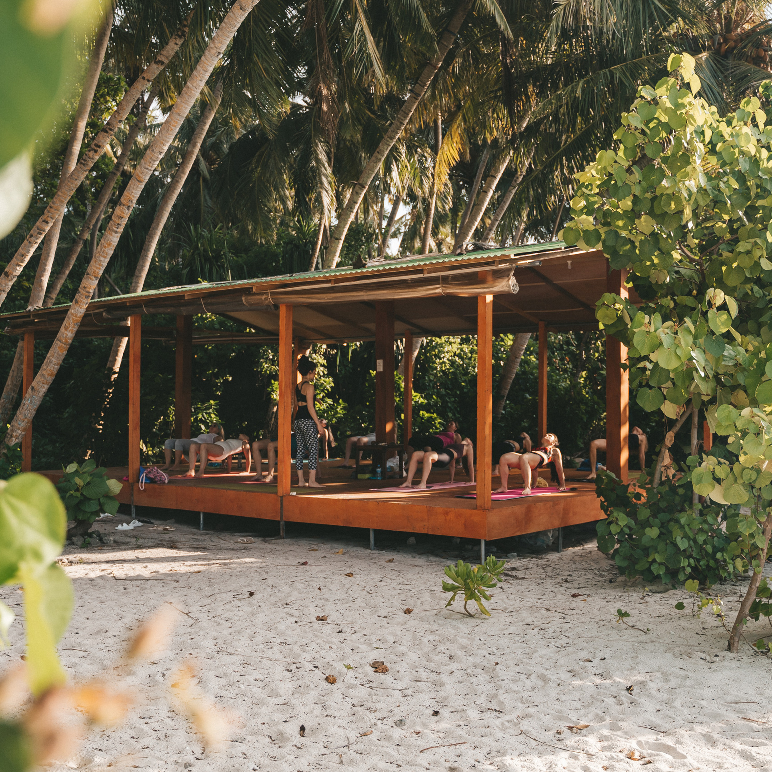 Отзывы. Веденеева Валентина семейный репортажный лайфстайл фотограф Москва