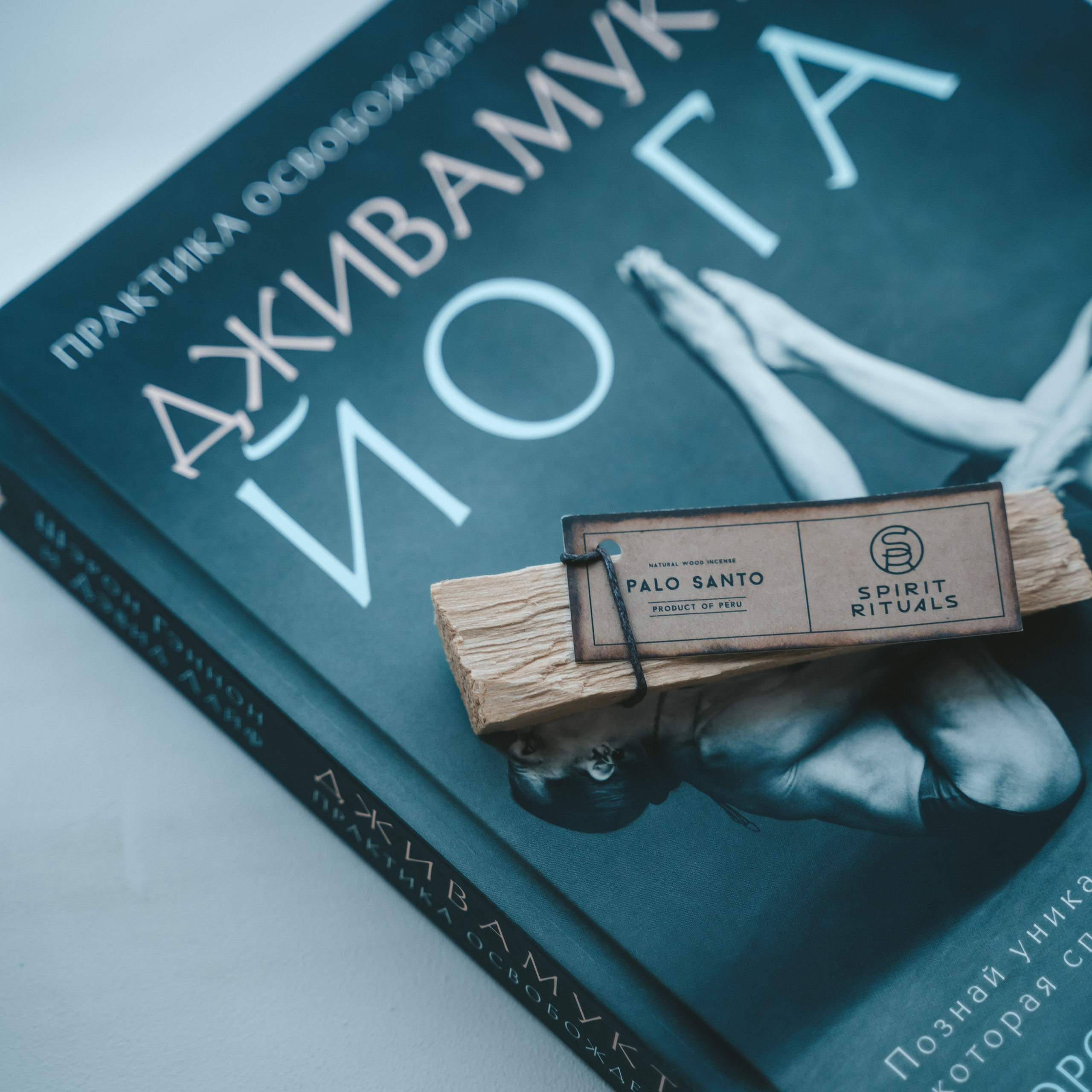 Отзывы. Веденеева Валентина семейный репортажный лайфстайл фотограф Москва