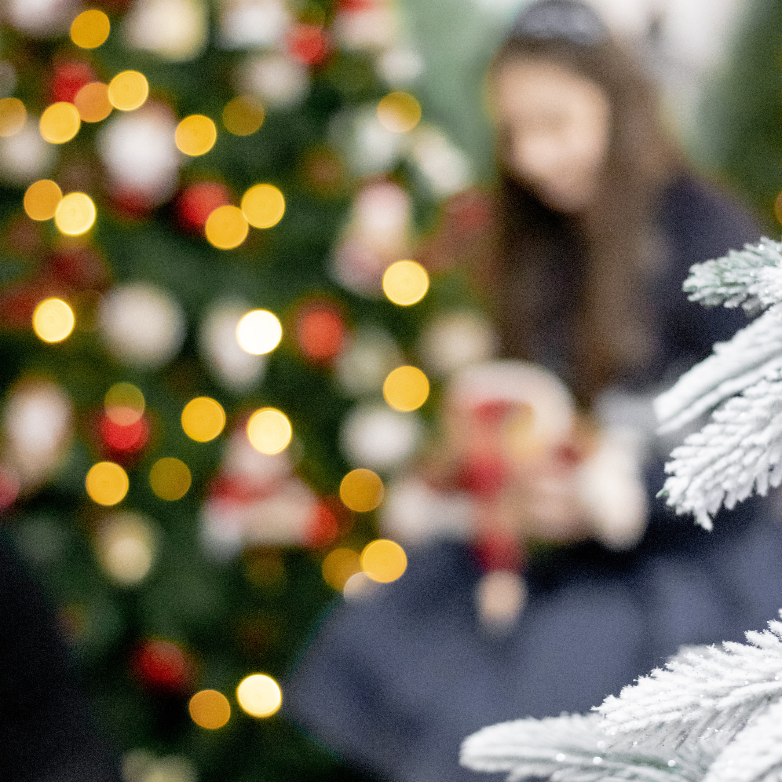 Семейная новогодняя