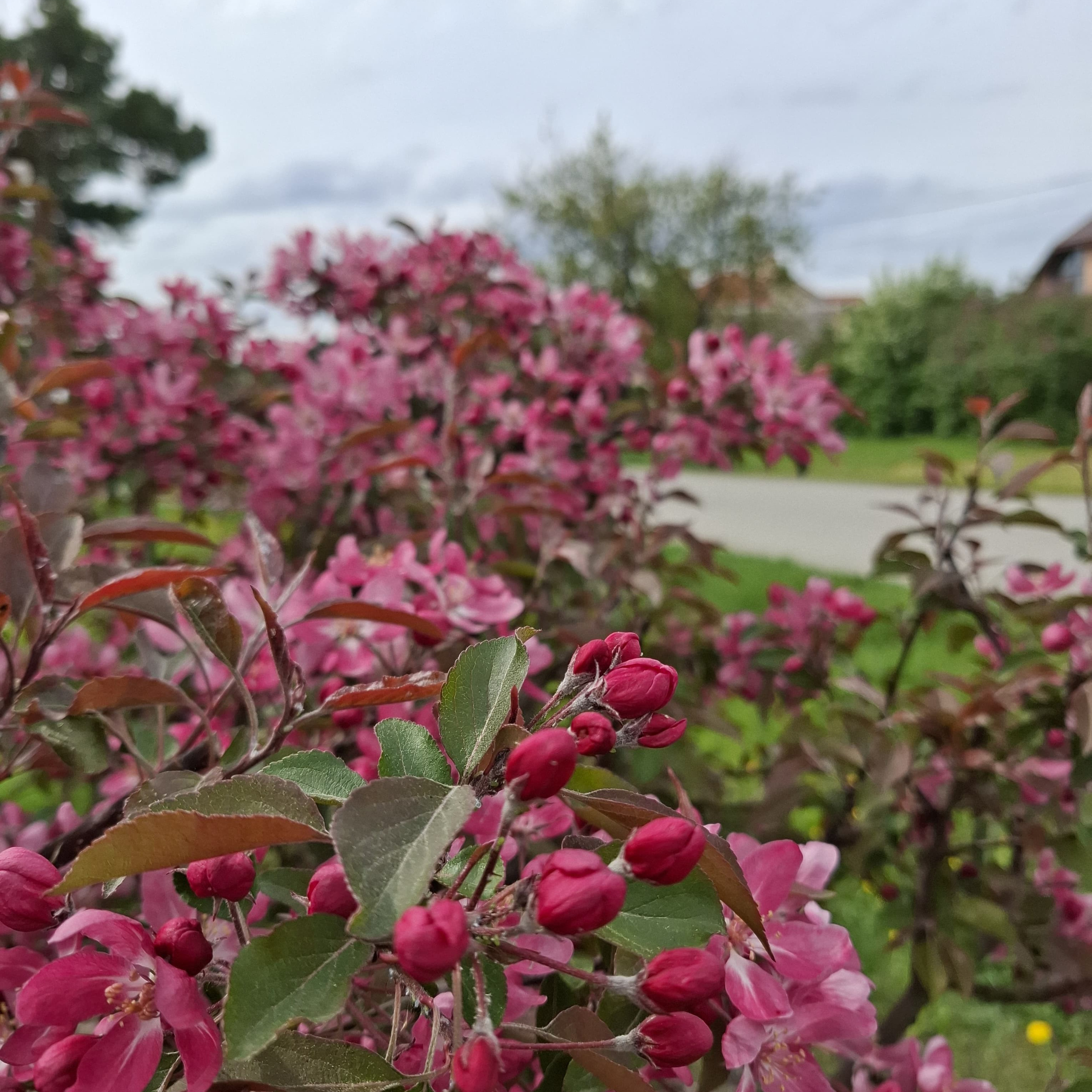 Отзывы. Семейный и репортажный фотограф Наташа Давыдова