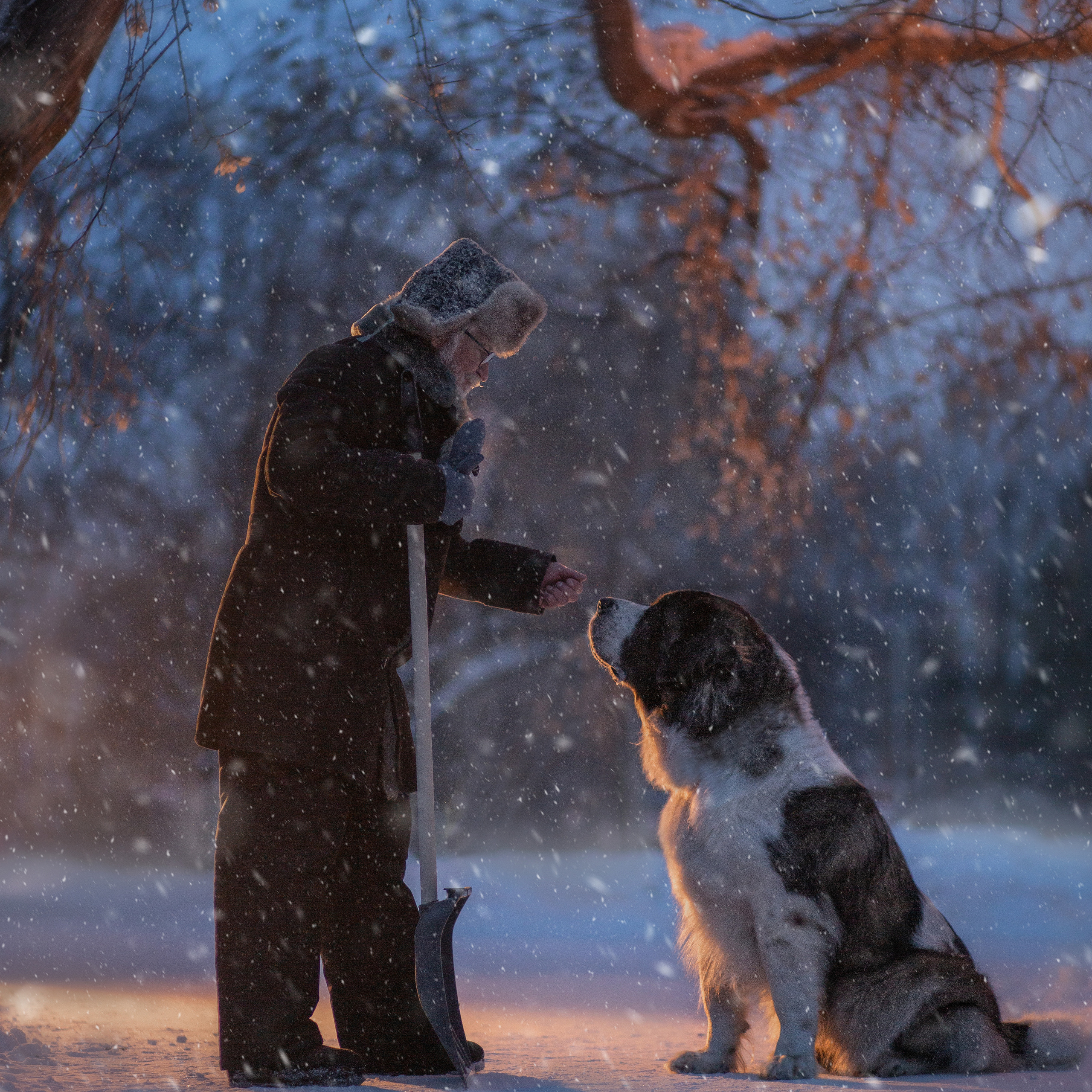 Семейный и детский фотограф Новосибирск Ольга Казакова. Съёмки в муке