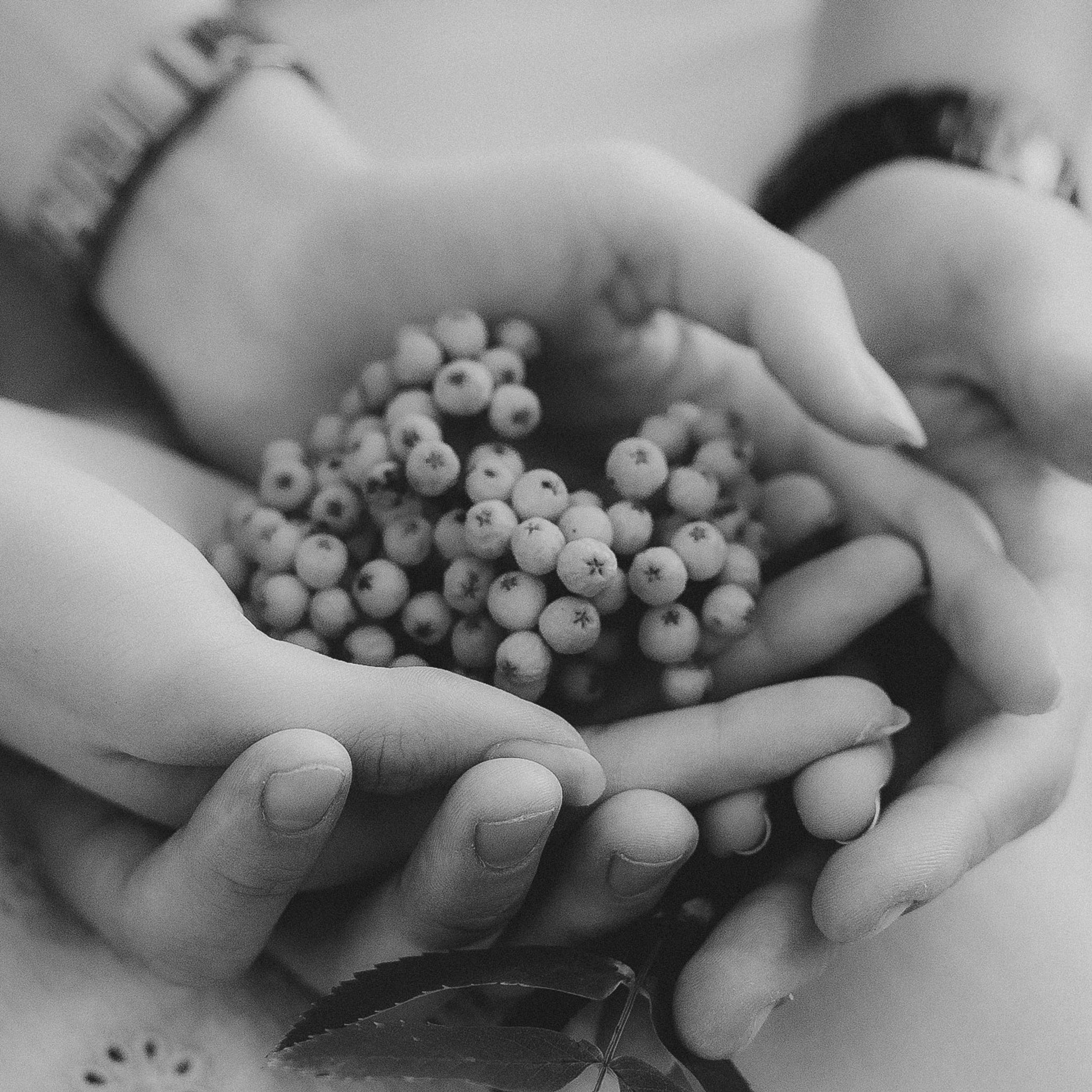 Алексей и Анжелика