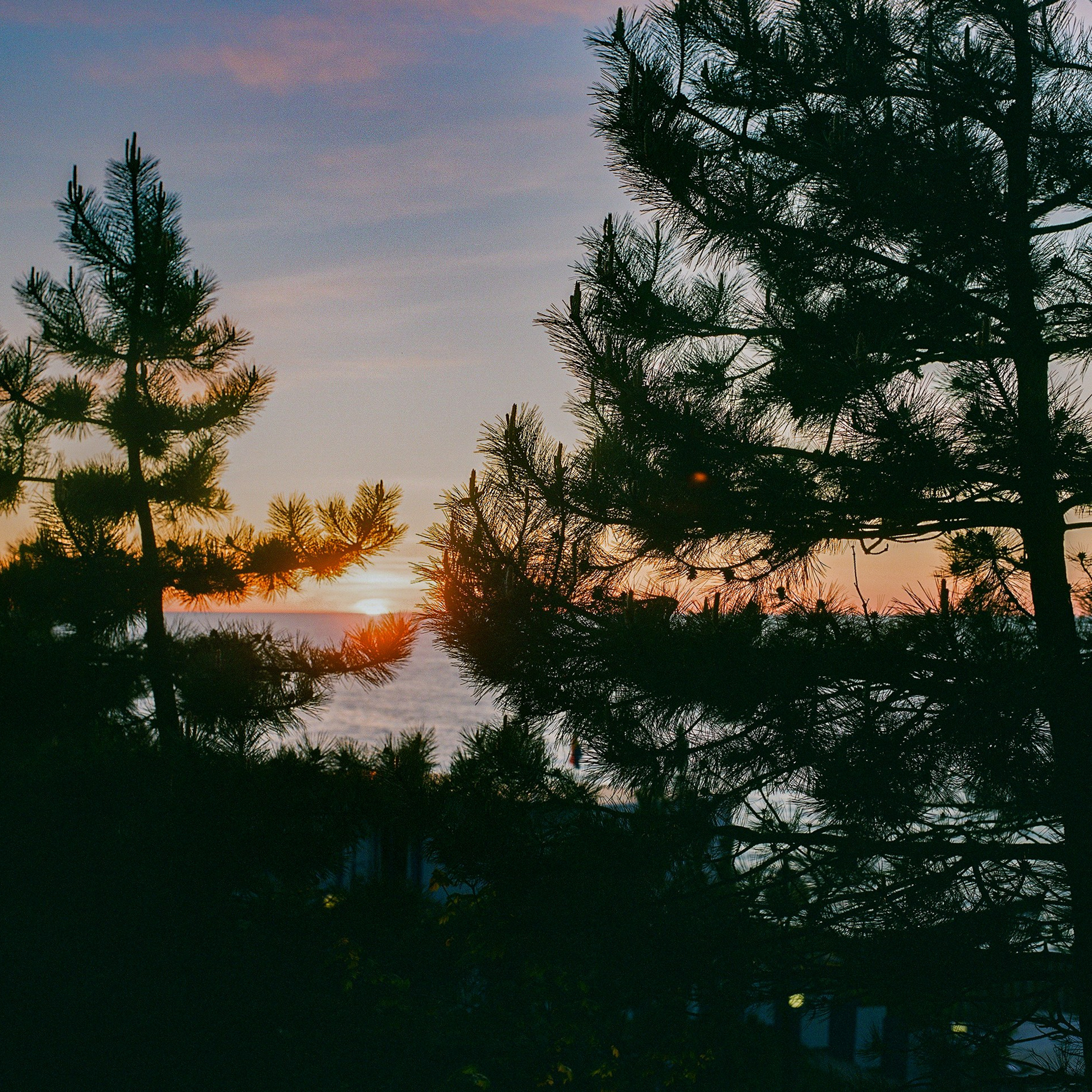 Svetlogorsk, Kaliningrad Oblast. 2024