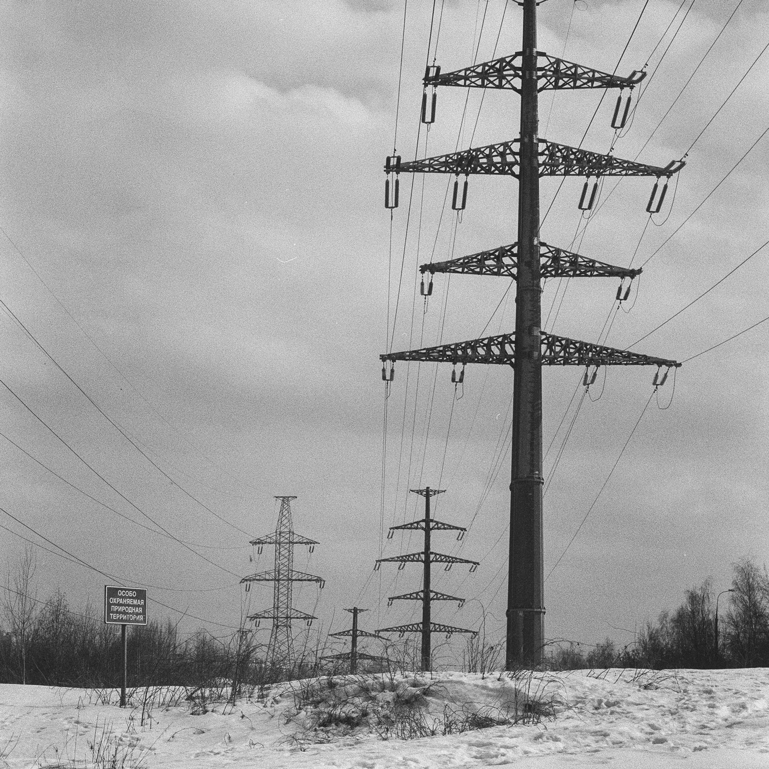 Near Putilkovskoye Highway, Moscow Oblast. 2024