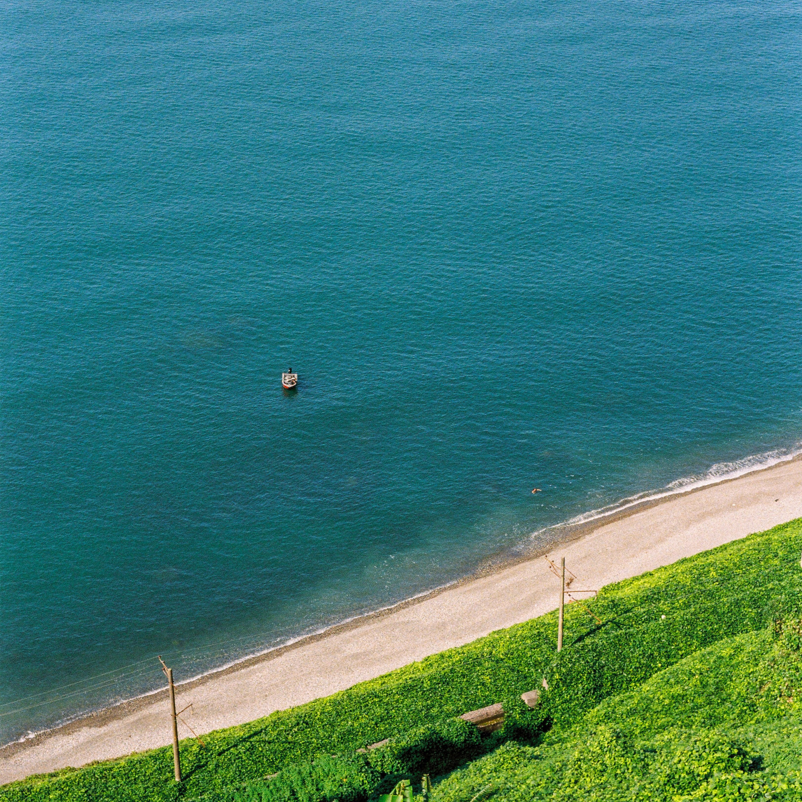 Black Sea, Batumi Botanical Garden, Georgia. 2025
