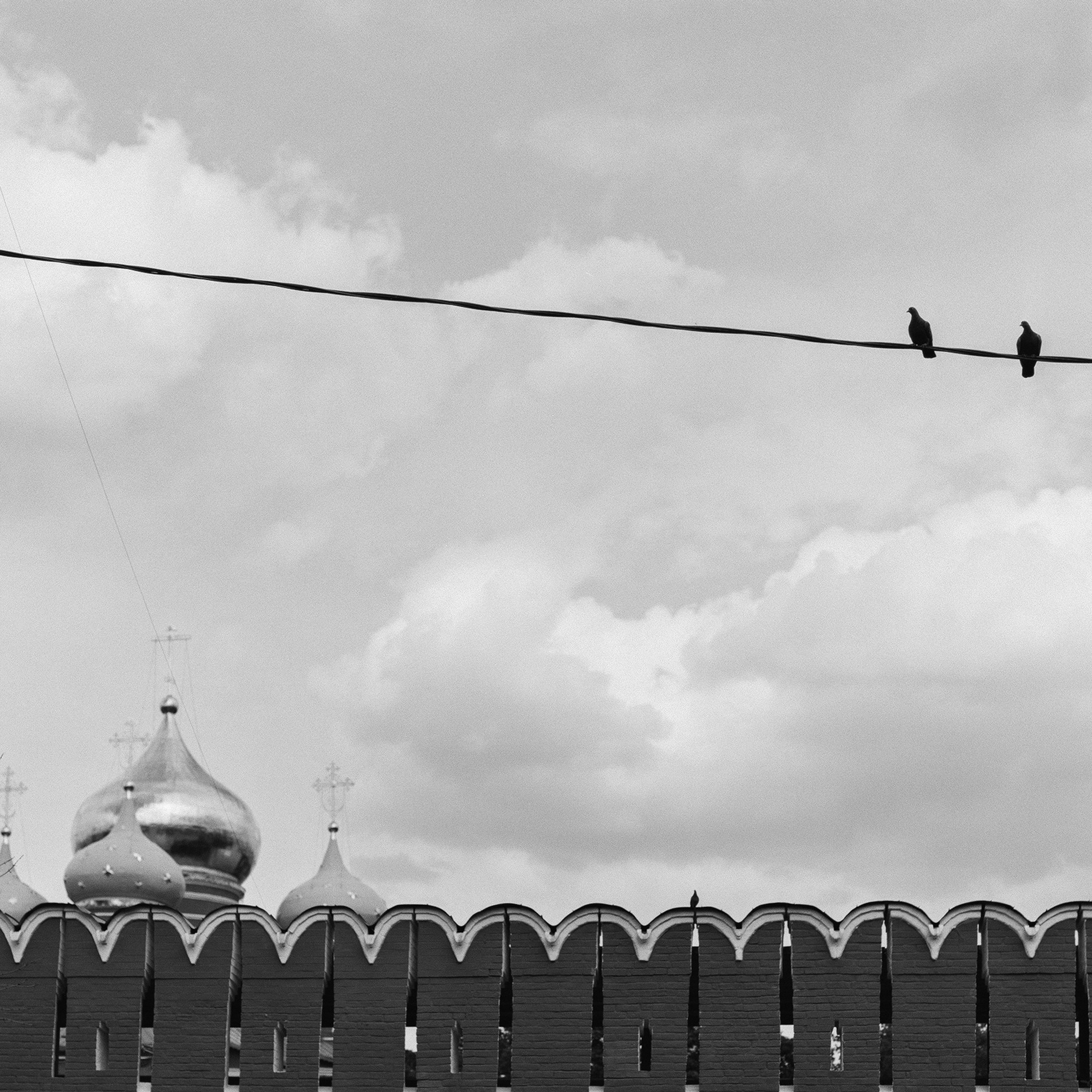 Donskoy monastery, Moscow. 2025