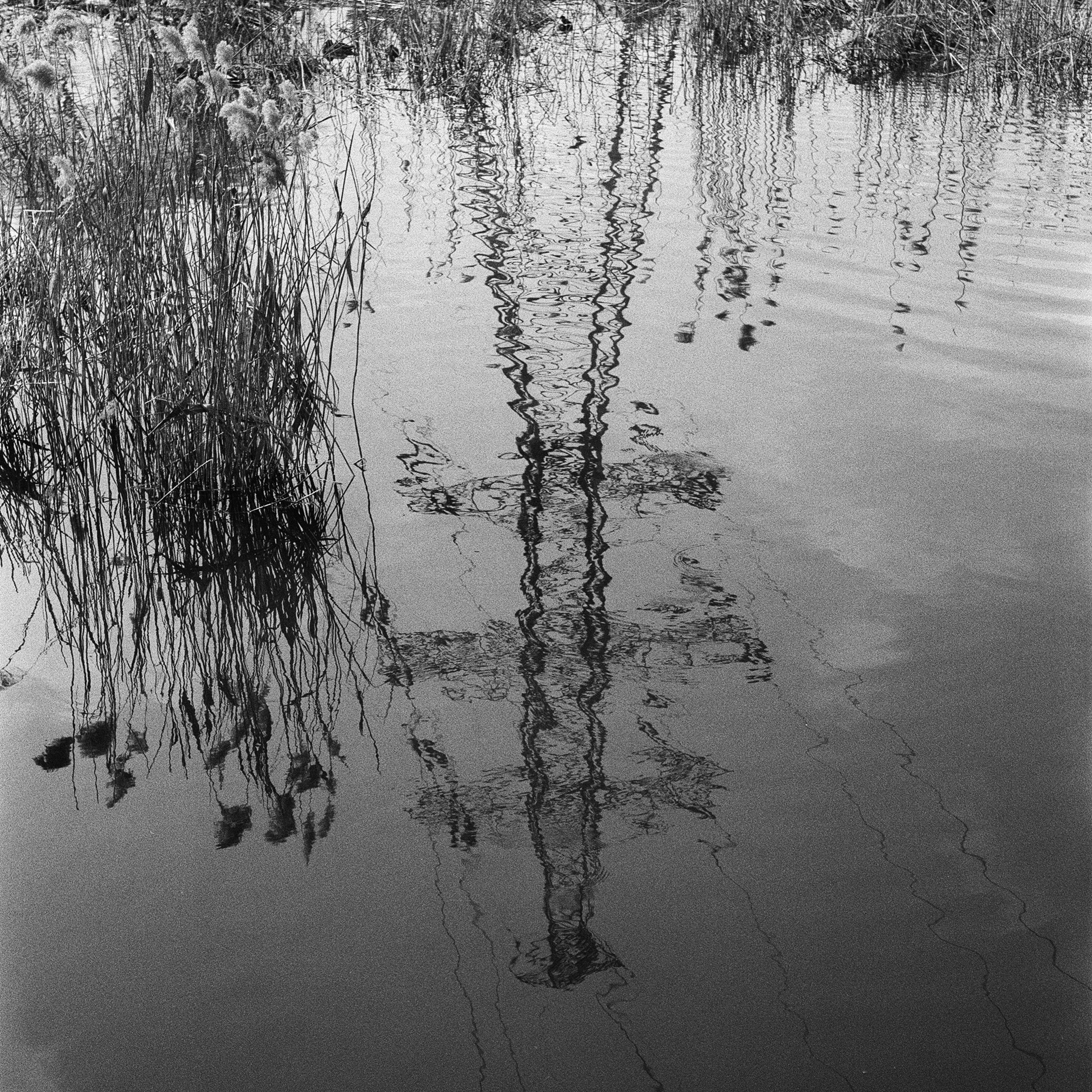 Skhodnya River, Putilkovo, Moscow Oblast. 2024
