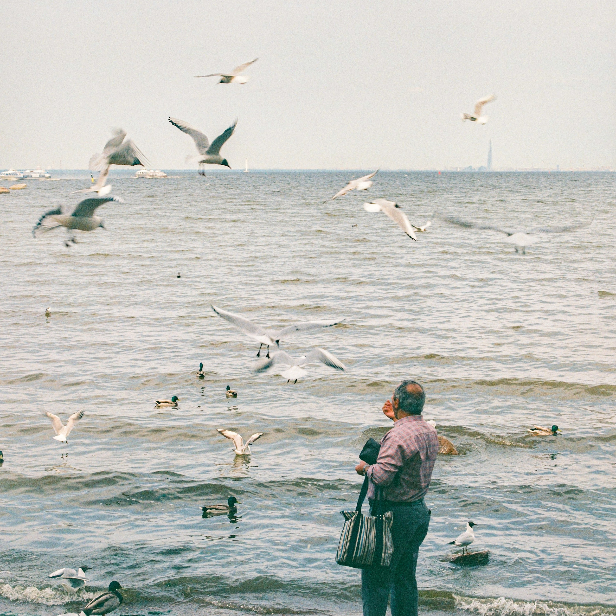 Petergof, Leningrad Oblast. 2025