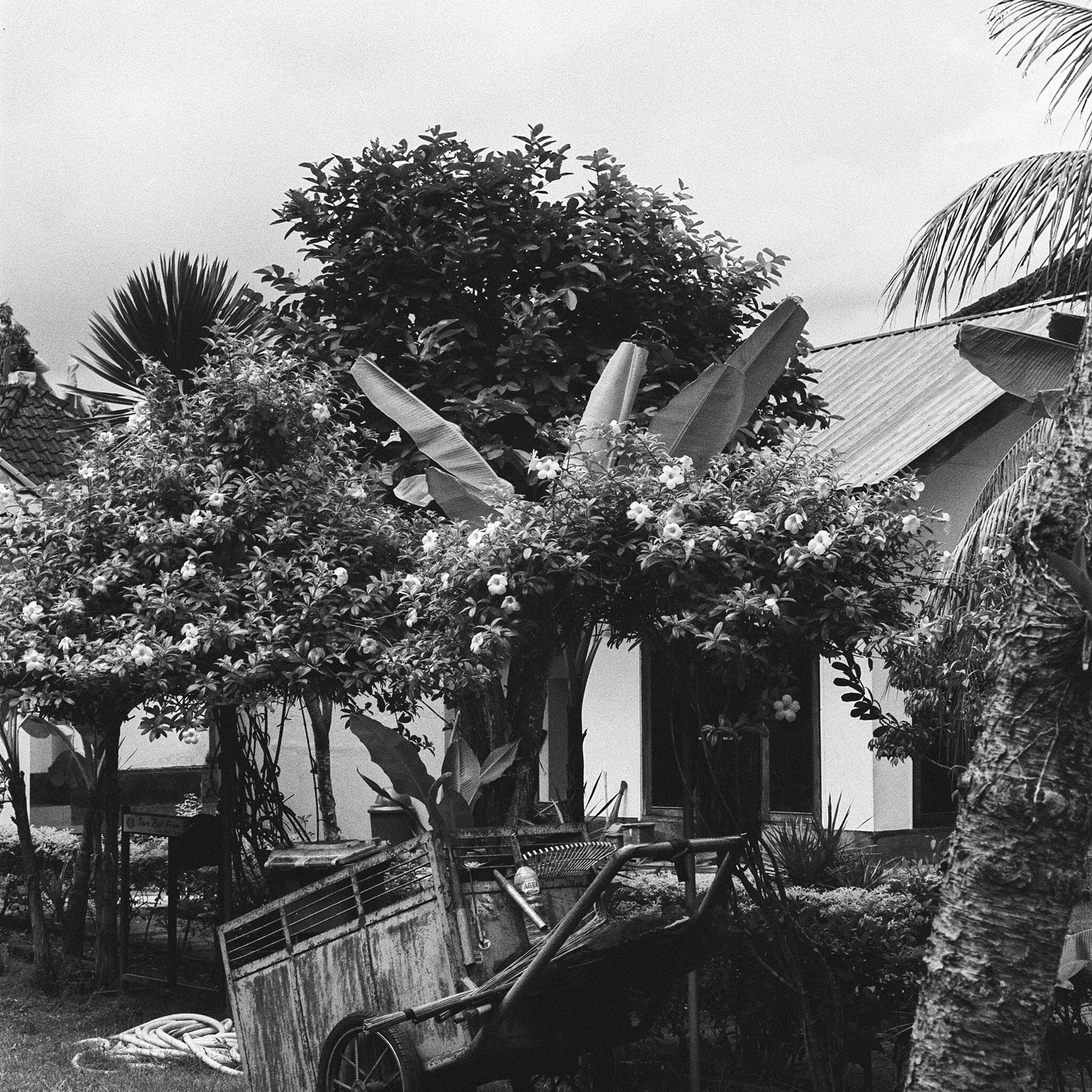 Bali, Indonesia. 2025