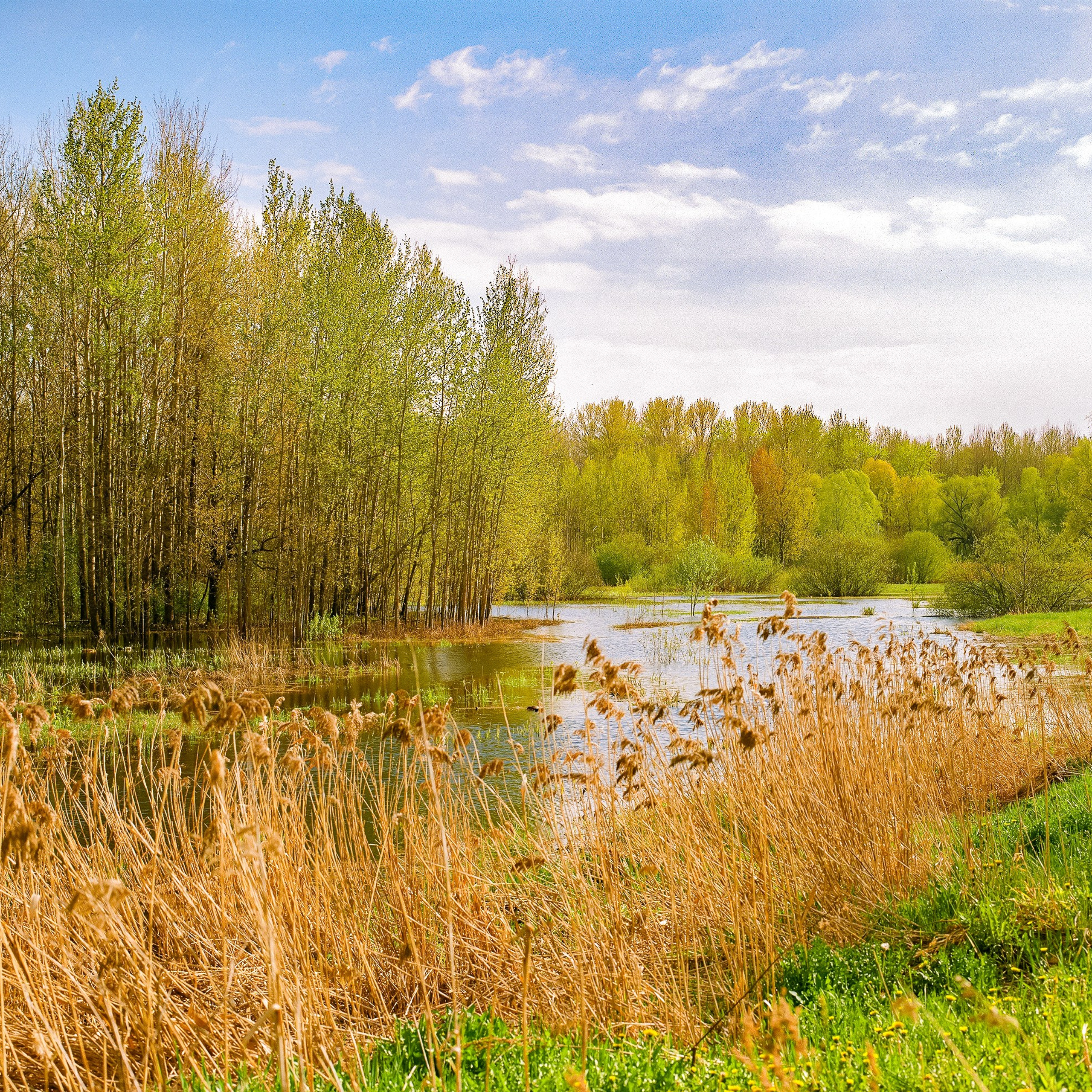 Veliky Novgorod, Novgorod Oblast. 2024