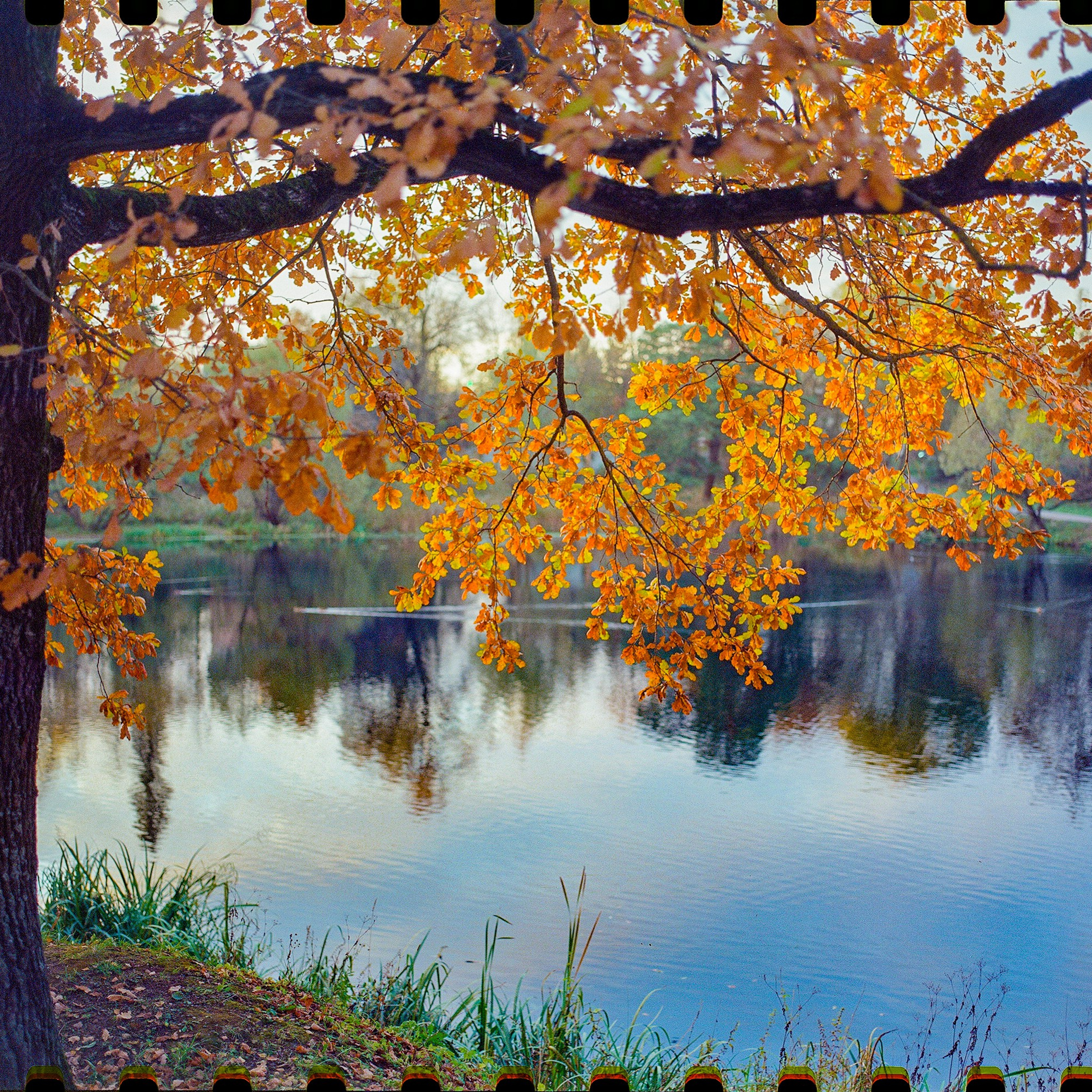 Bolshiye Vyazyomy, Moscow Oblast. 2024