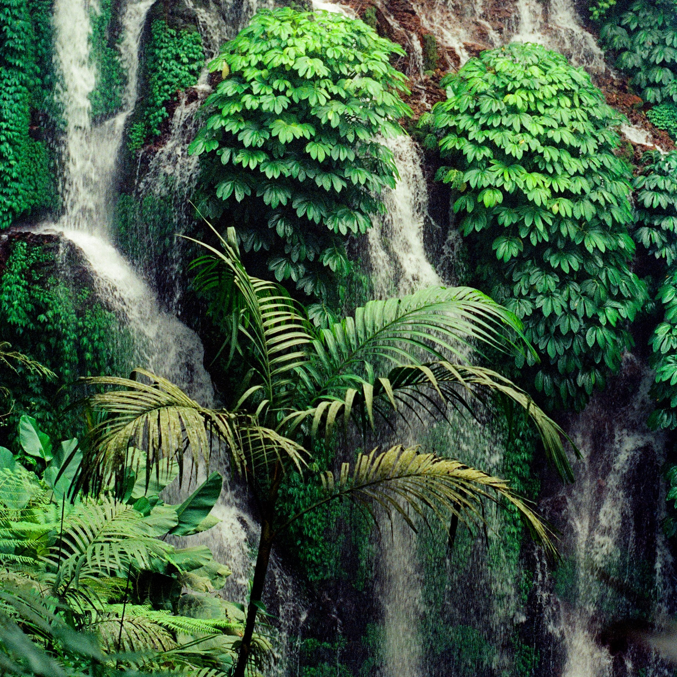 Bali, Indonesia. 2025