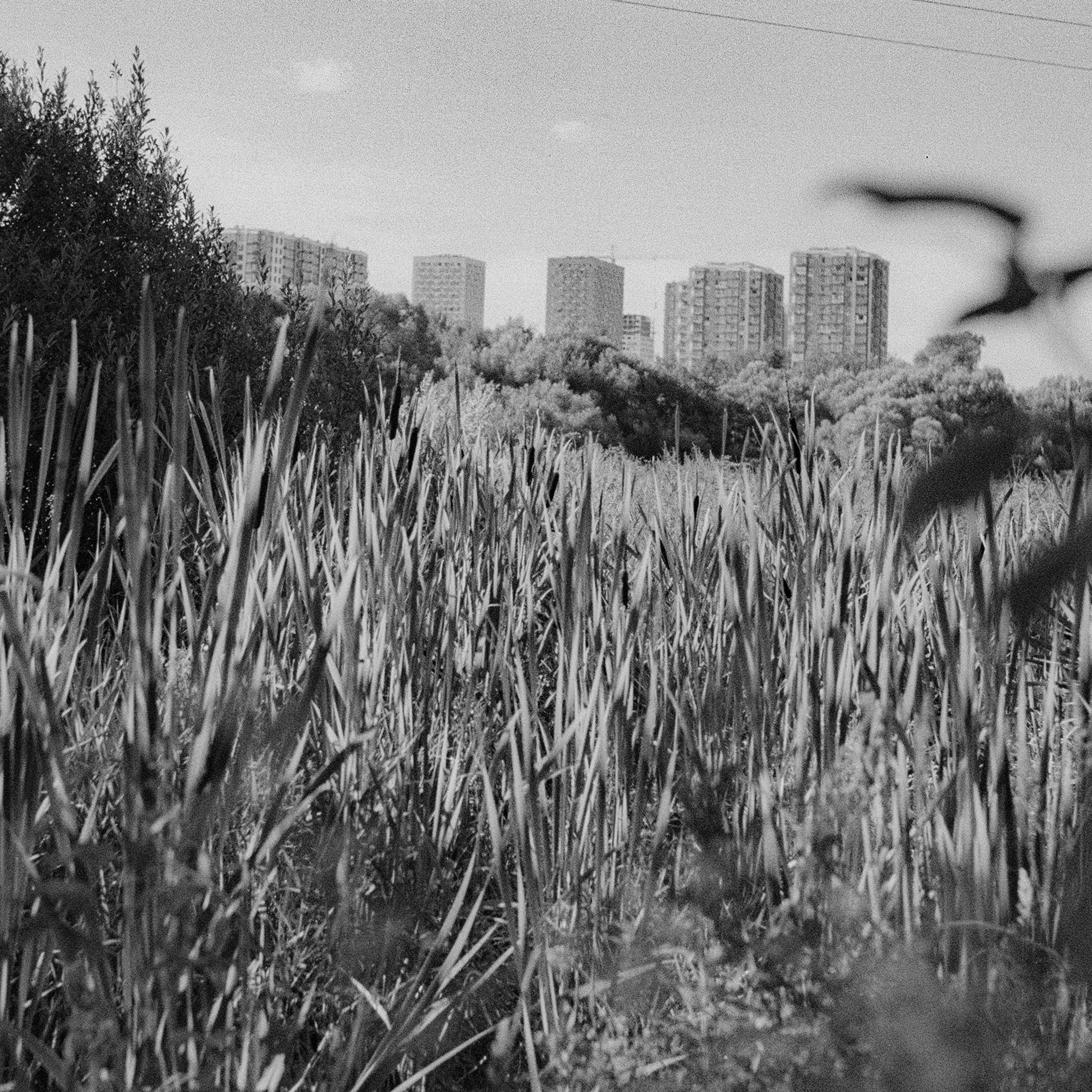 Mitinskiy Les housing complex, Moscow. 2024